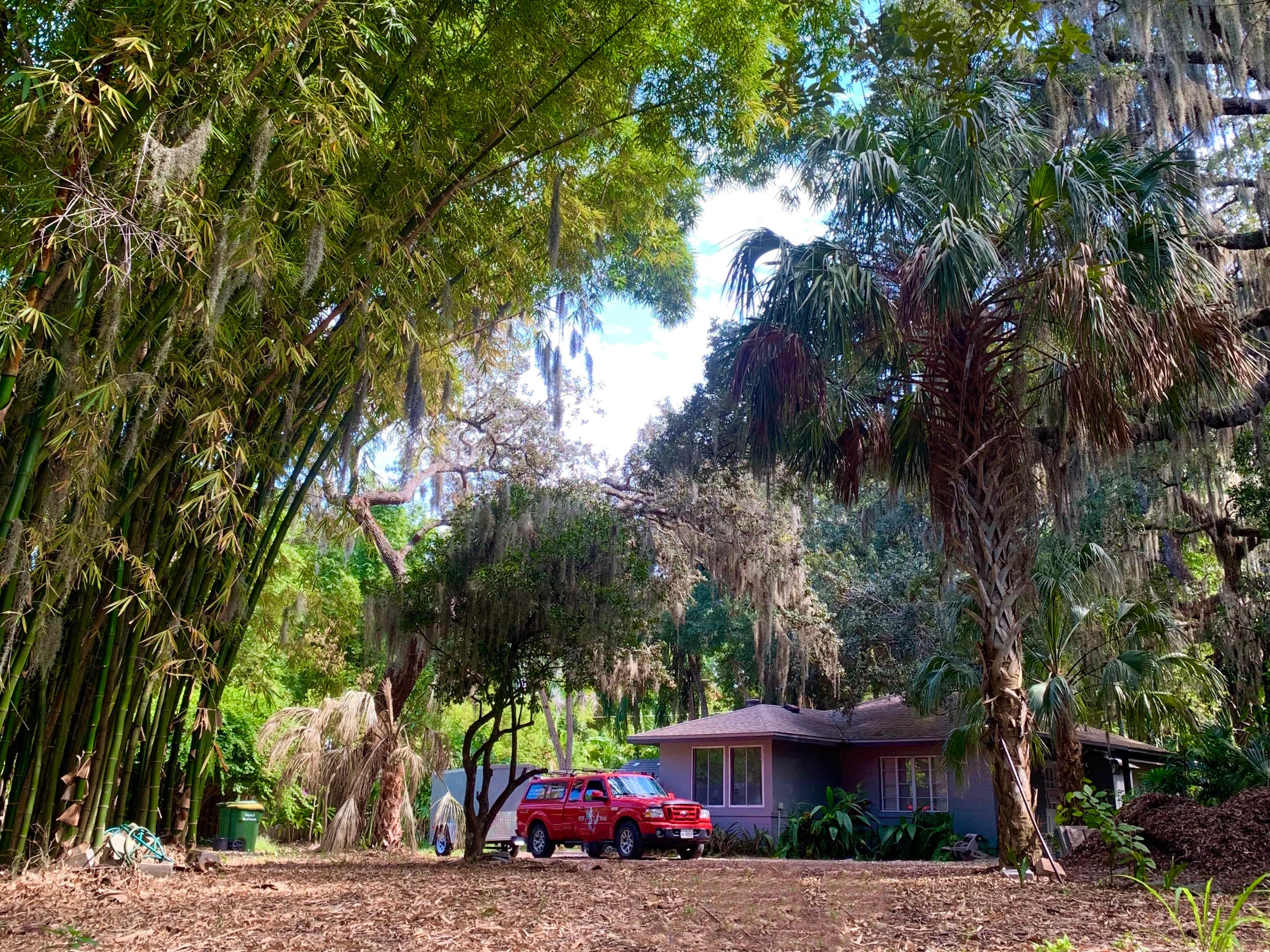 Bayou Bliss