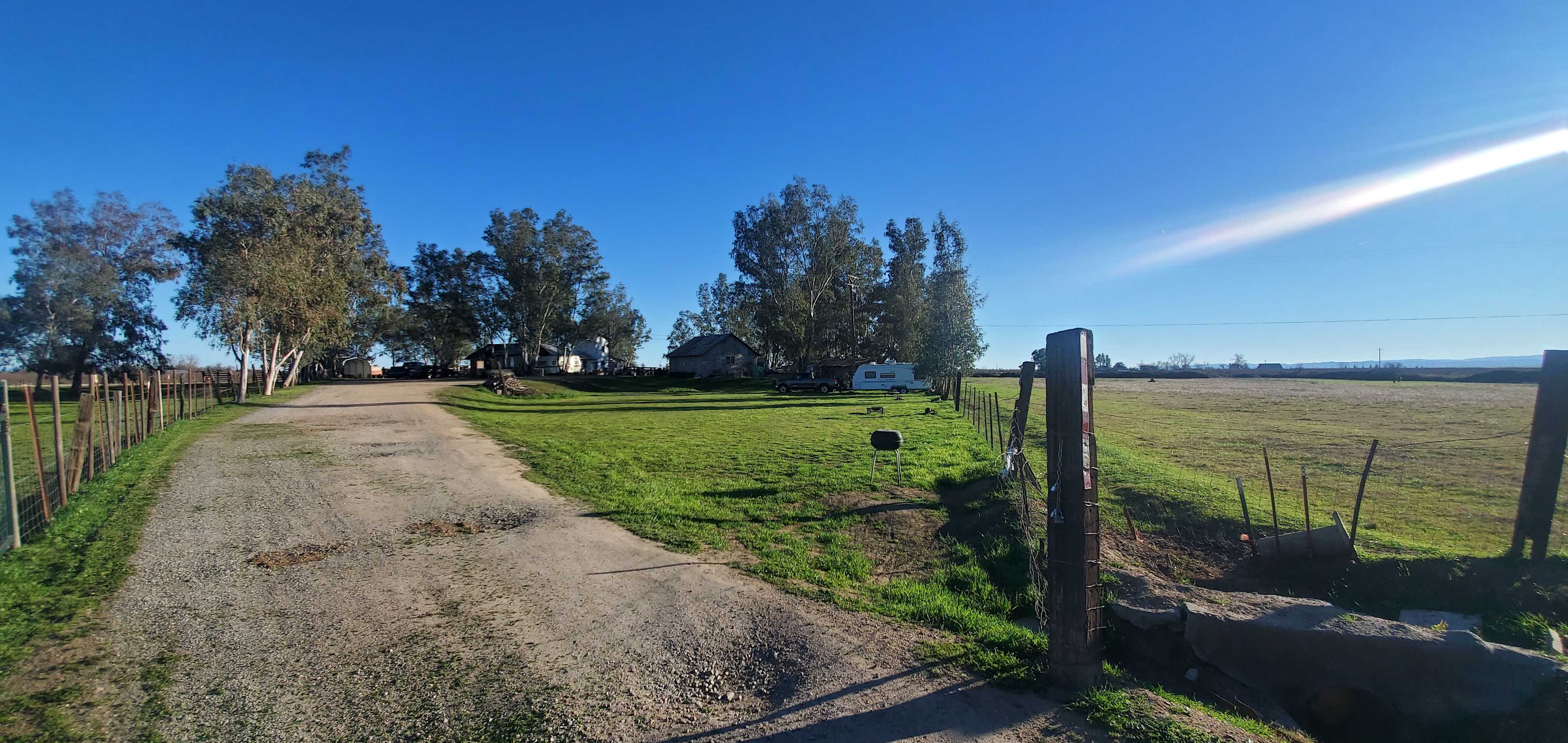 Websters Farm