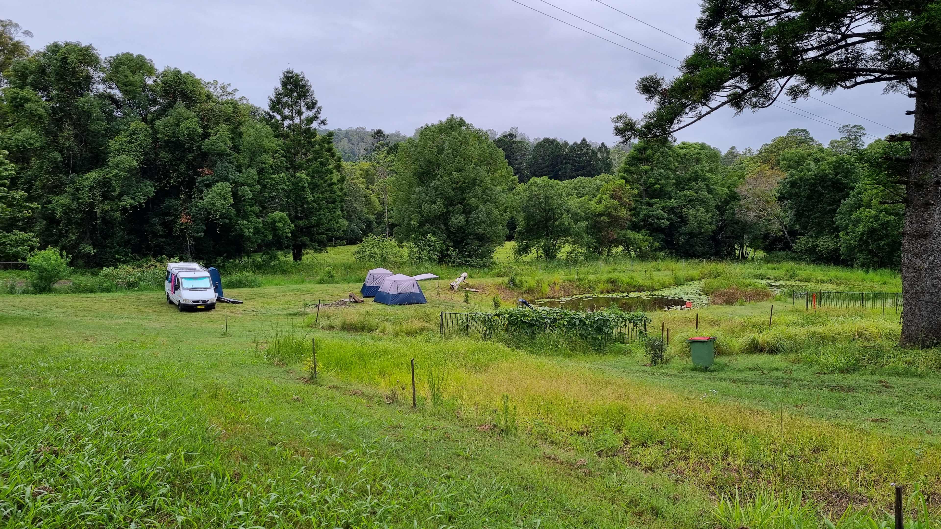 Coffee Camp Organic Farm