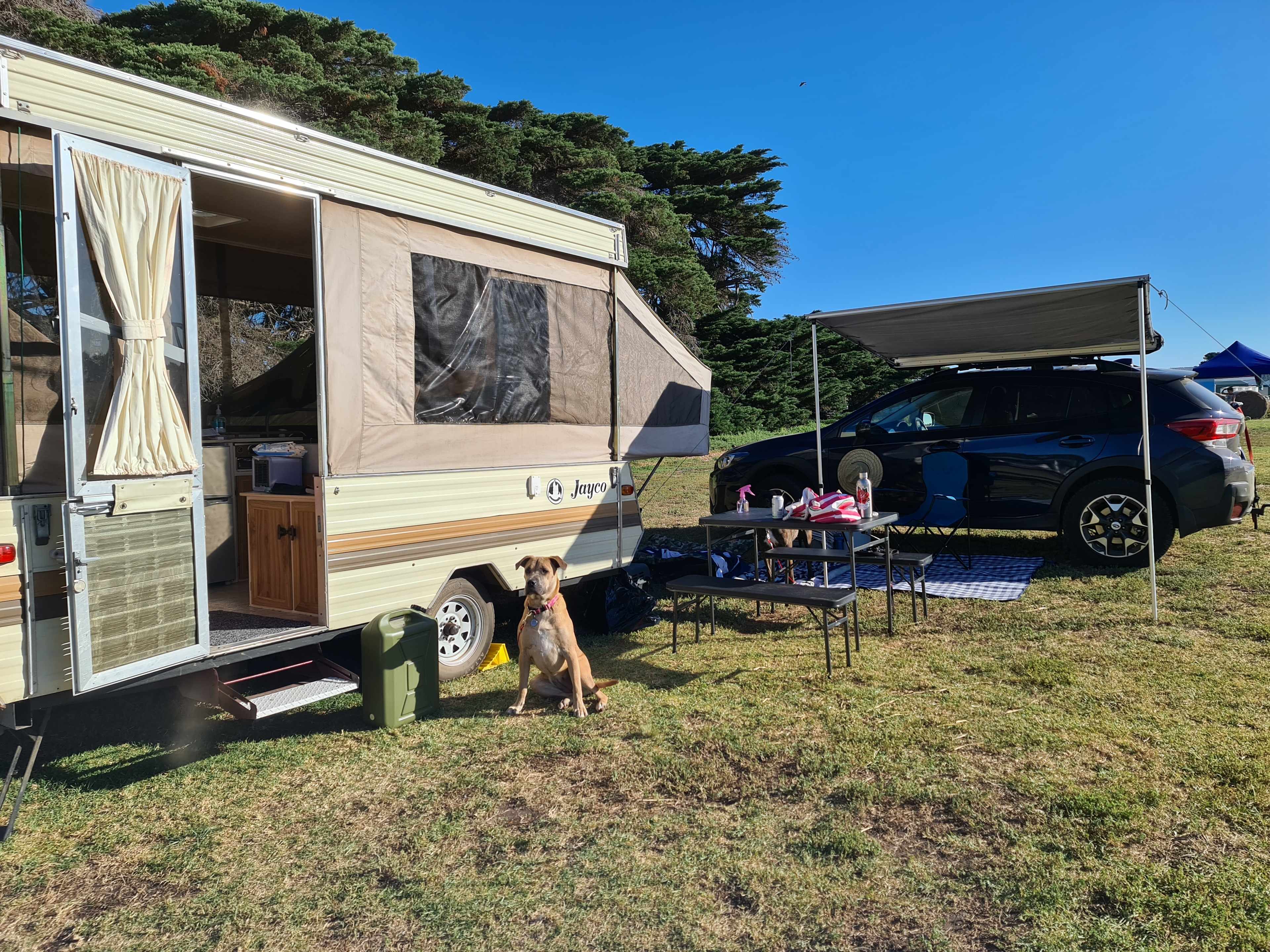 Shacks at Kardella Park