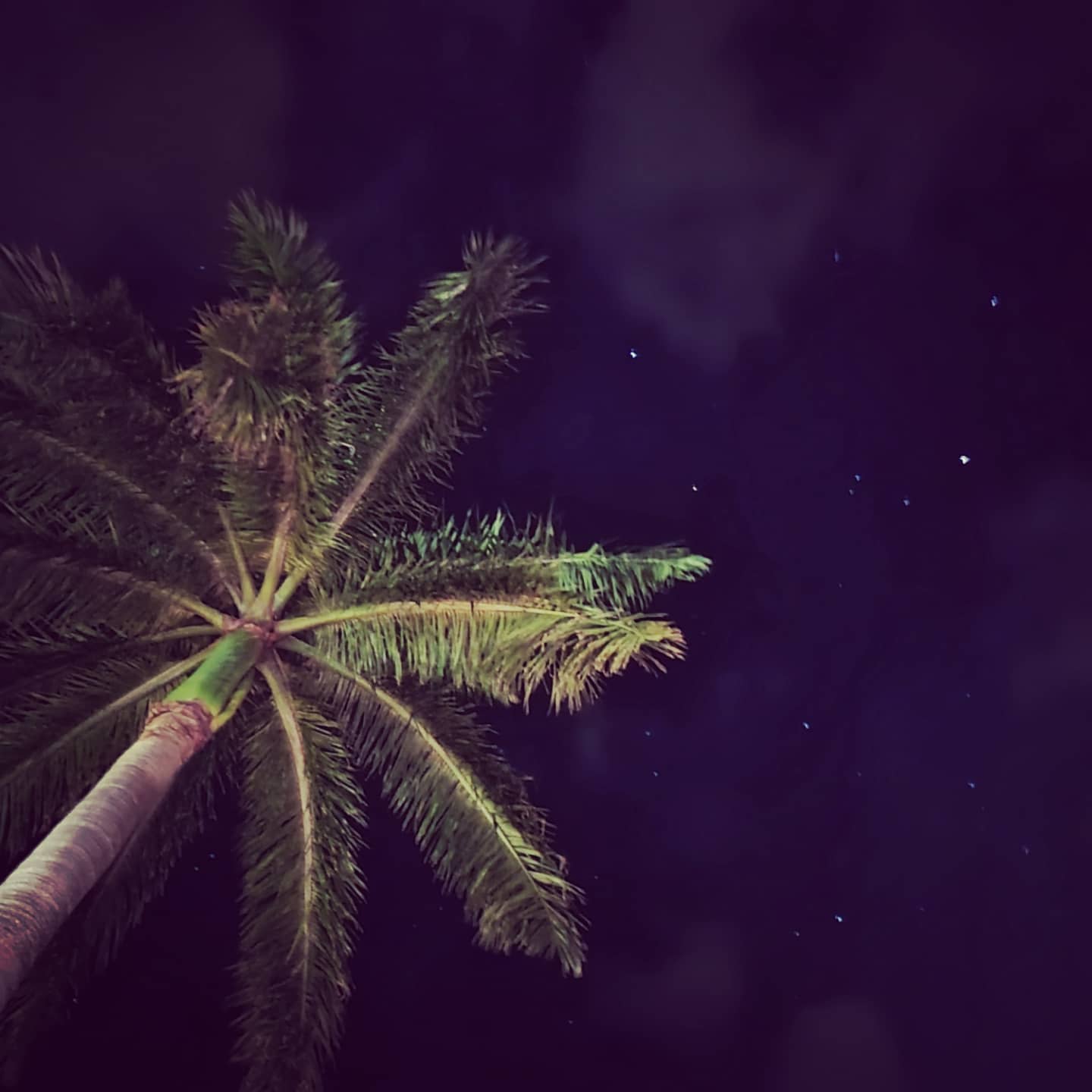 Pine Island Paradise!