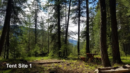 Picture of the site