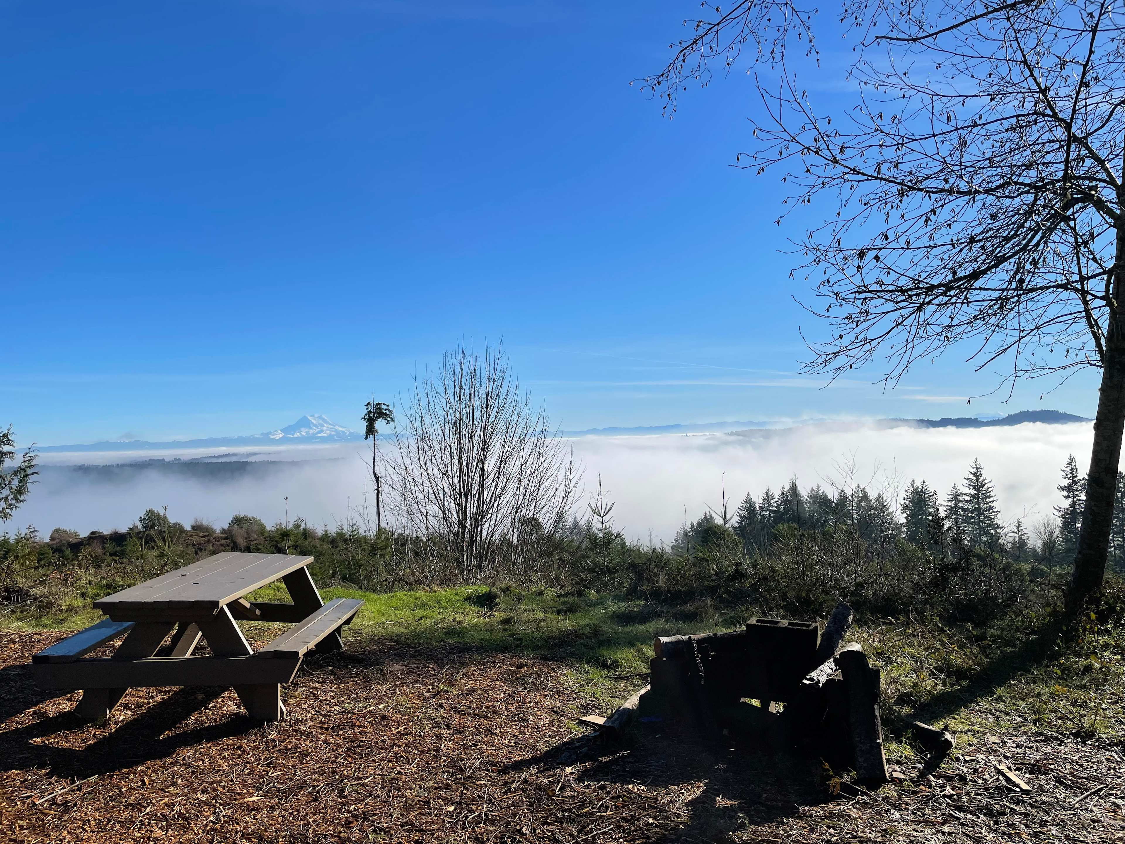 Hairy Eagle Lookout 🦅