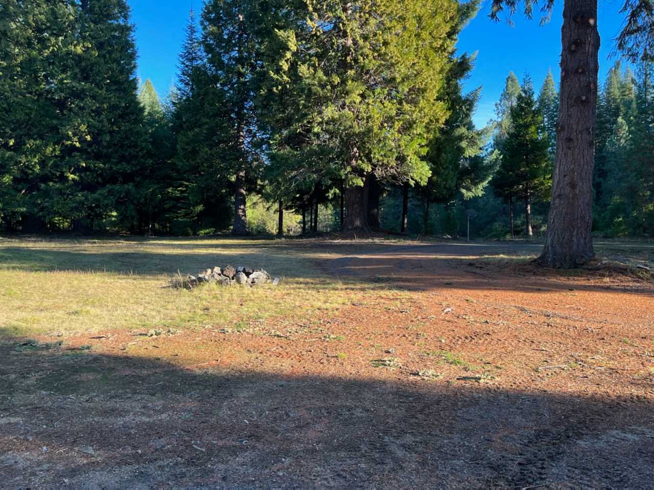 Camp fire and meadow