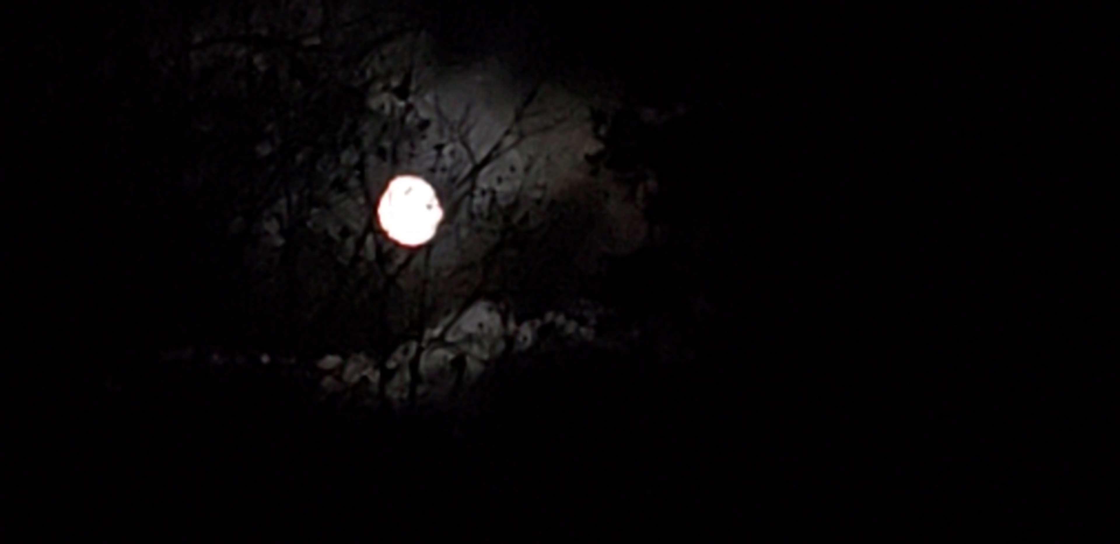 whispering moonbeam acres