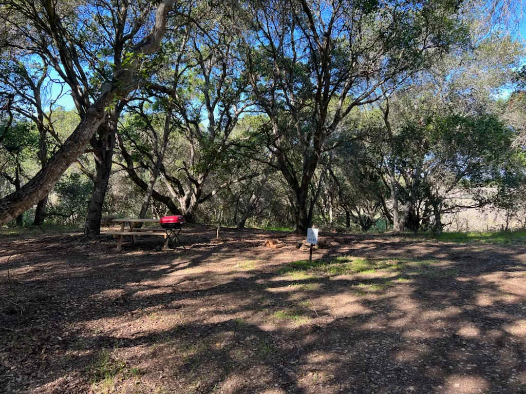 Picture of the site