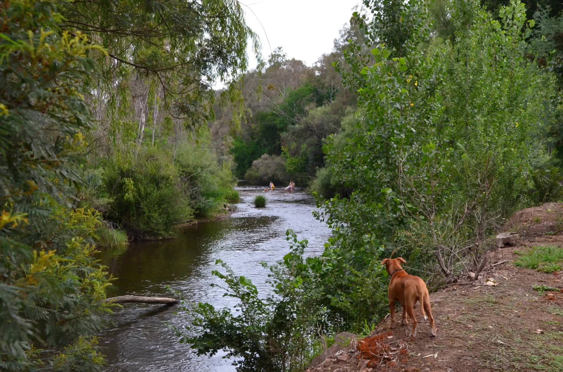Riverside King Valley