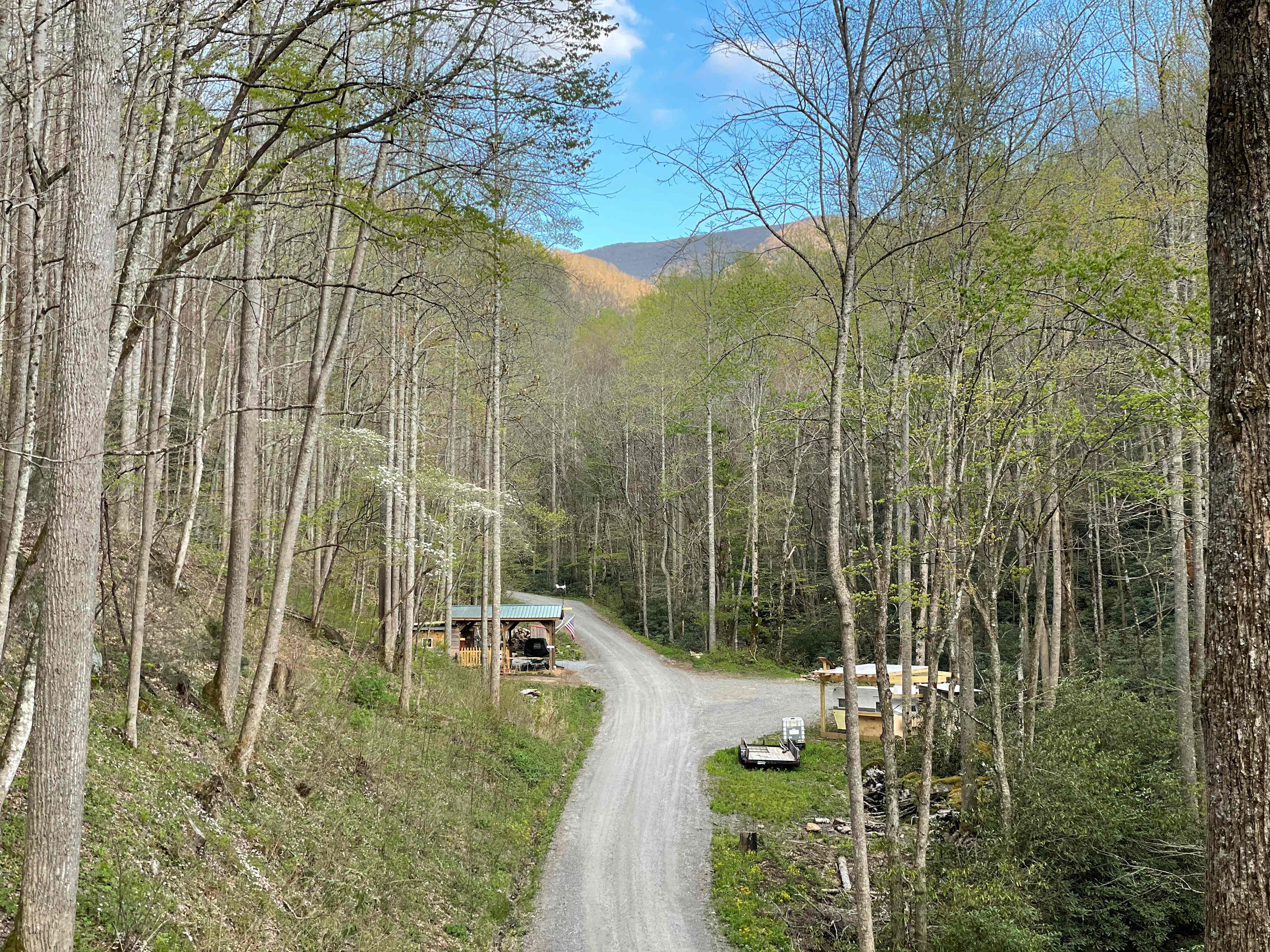 Picture of the site