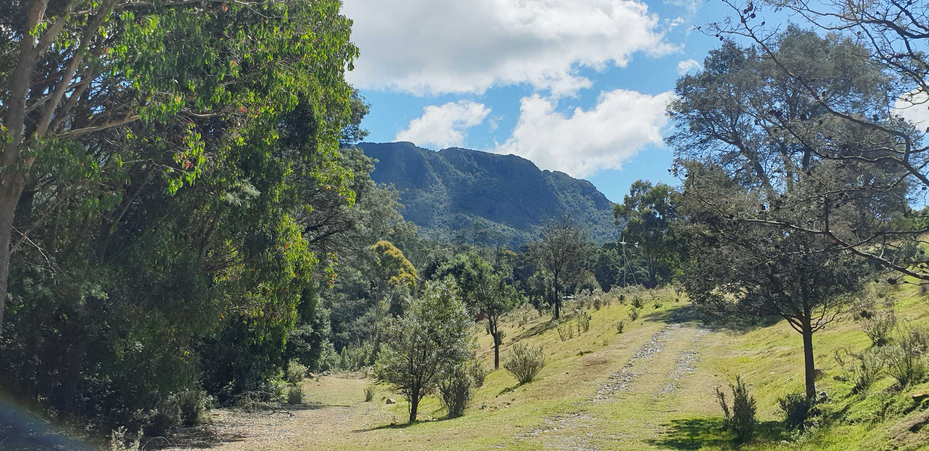 World Heritage Forest Monastery campsite