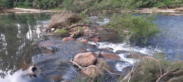 Picture of the site