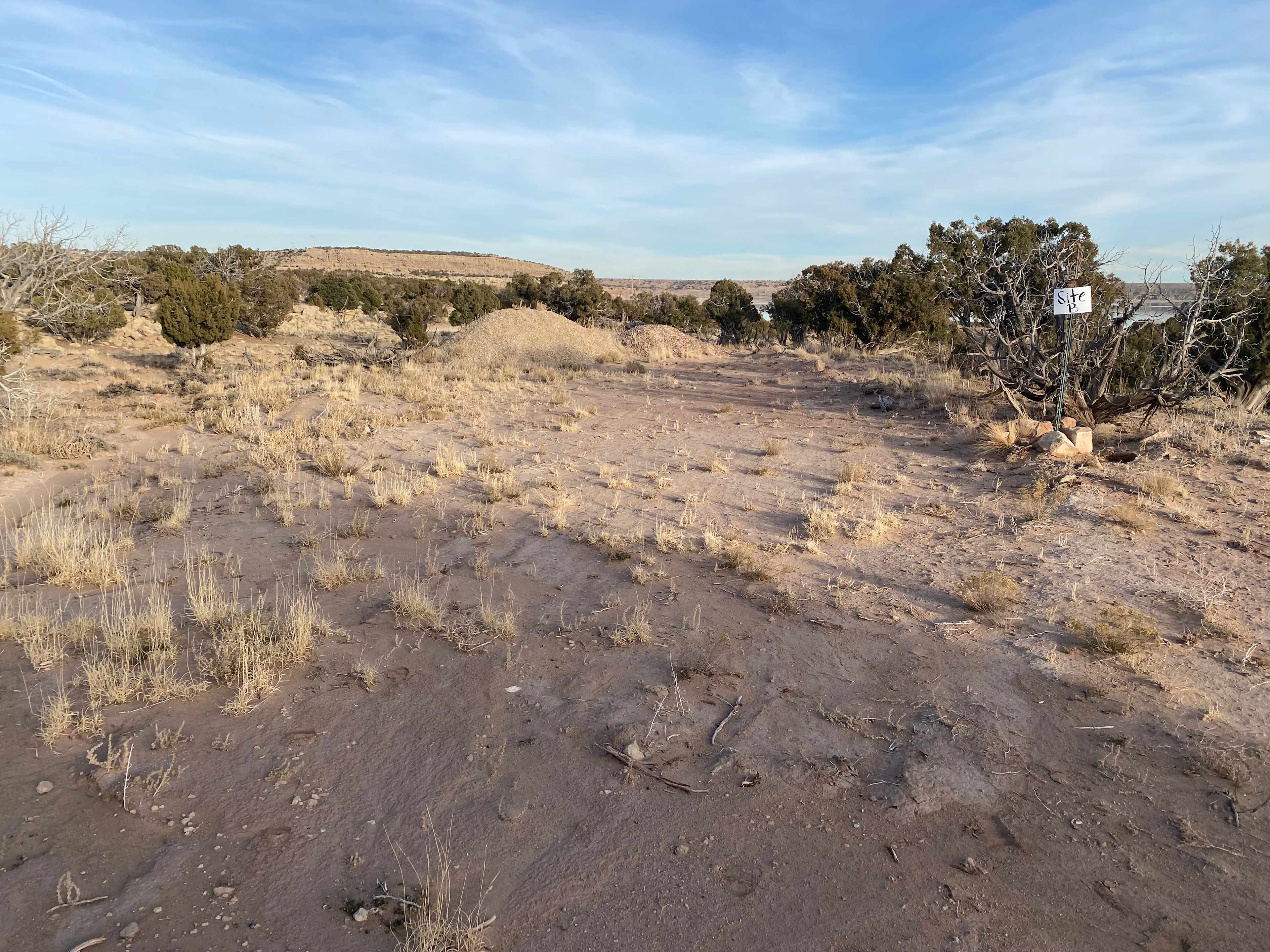 Picture of the site