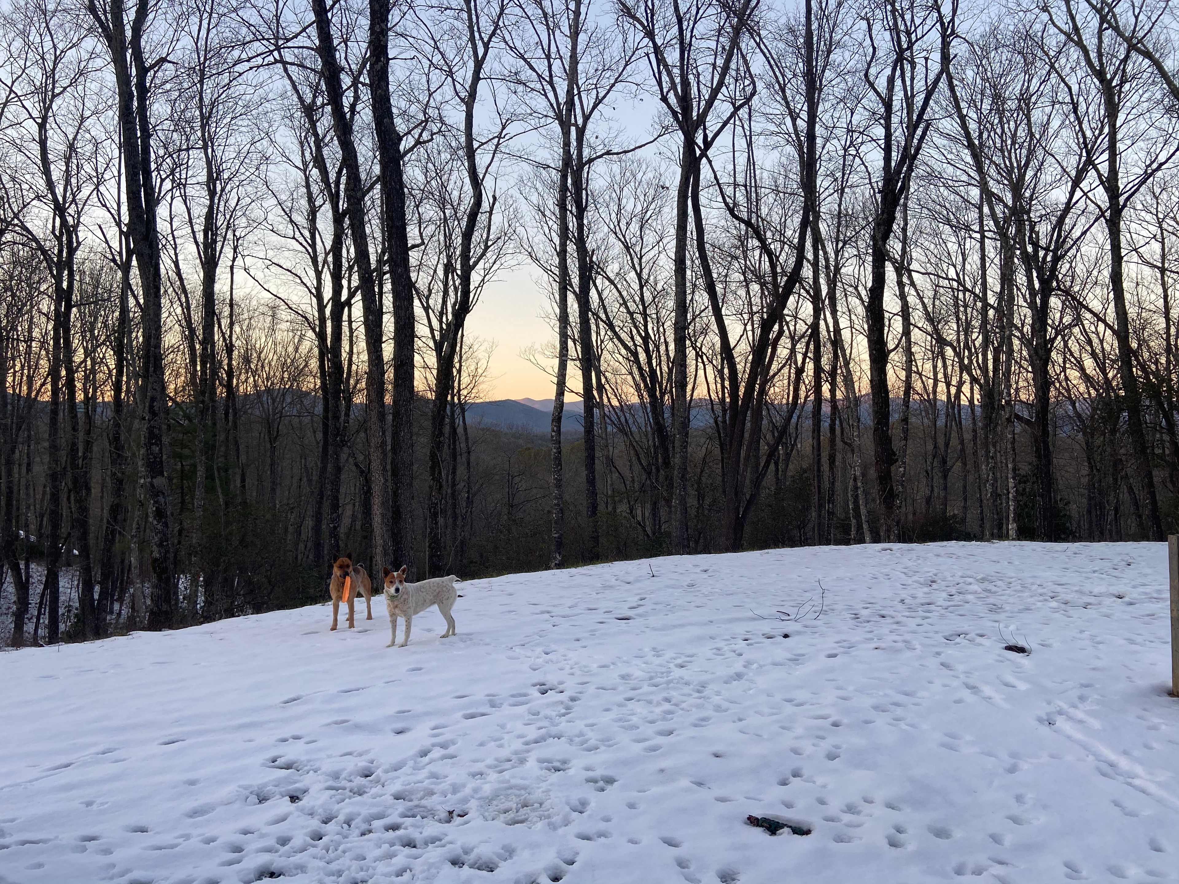 Indian Creek Rental's Mountain Camp
