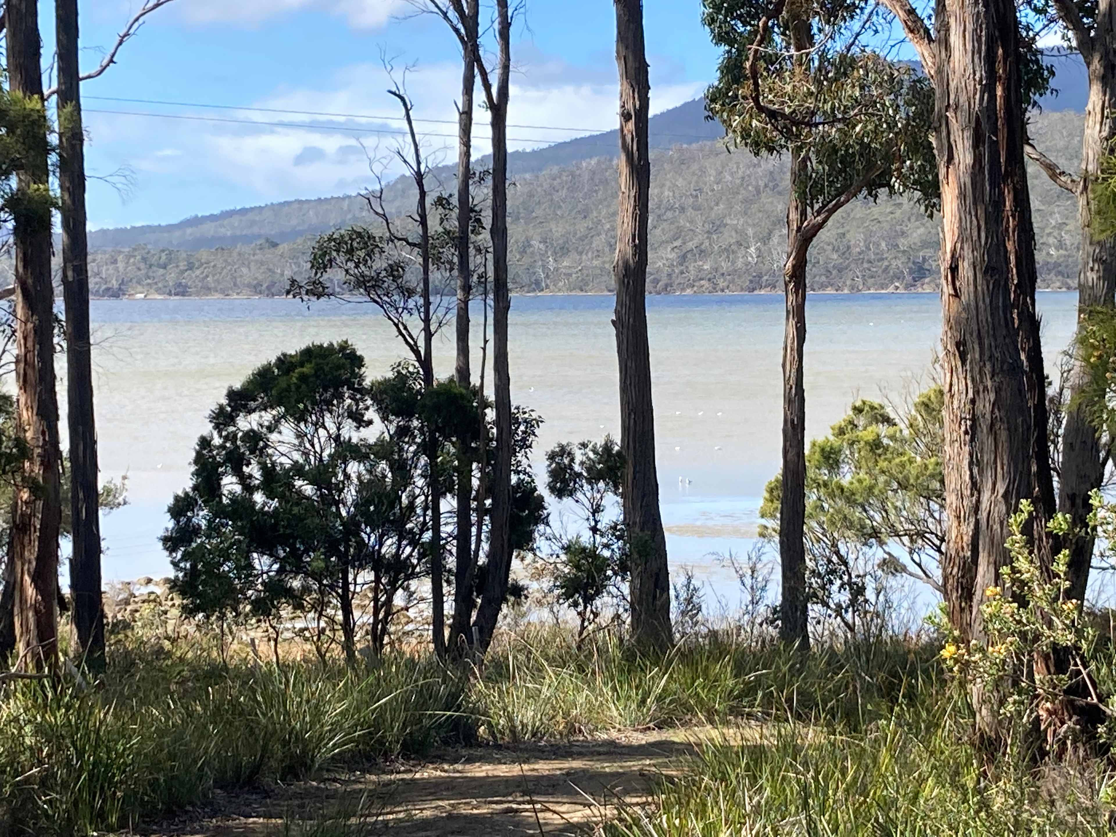 South Bruny Paradise