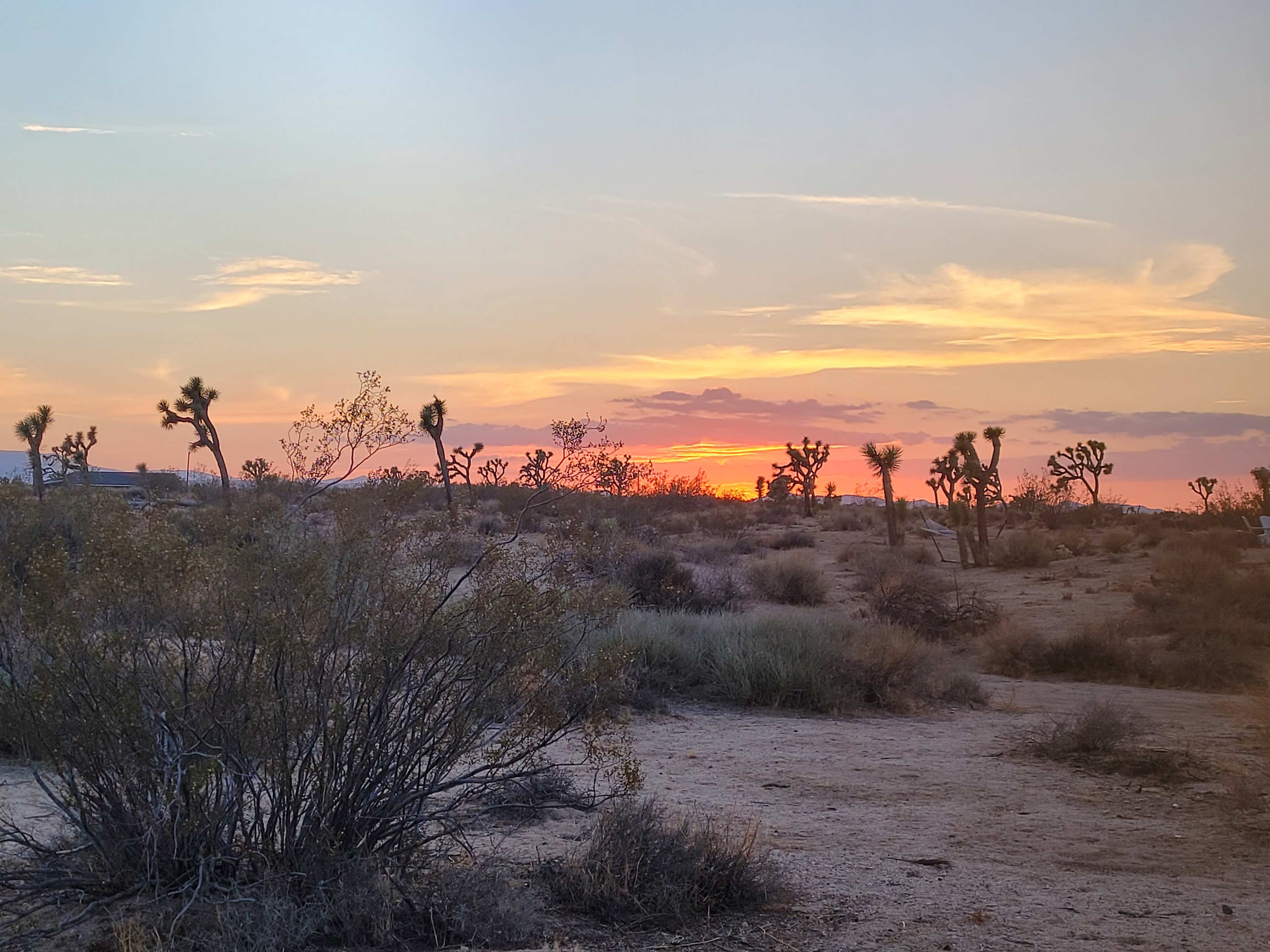 Palm's Ranch