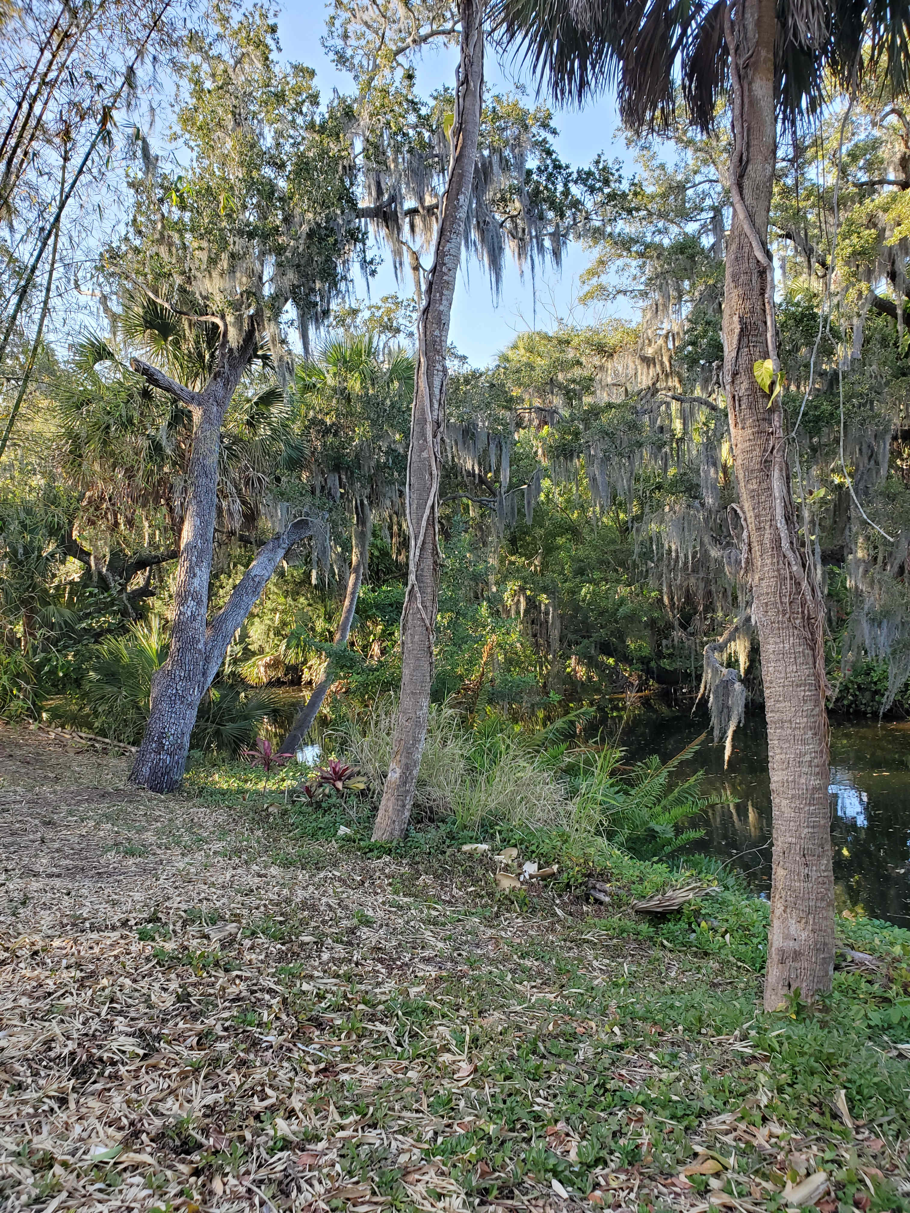 Bayou Bliss