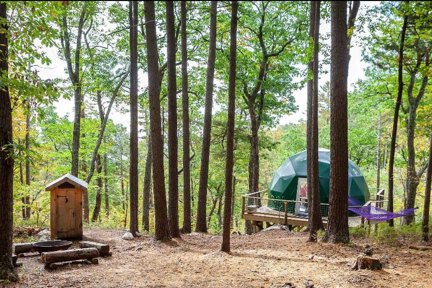 Picture of the site