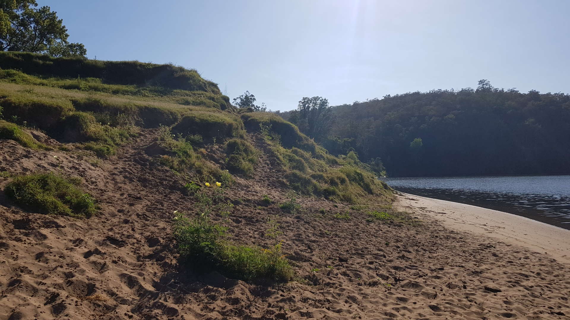 Picture of the site