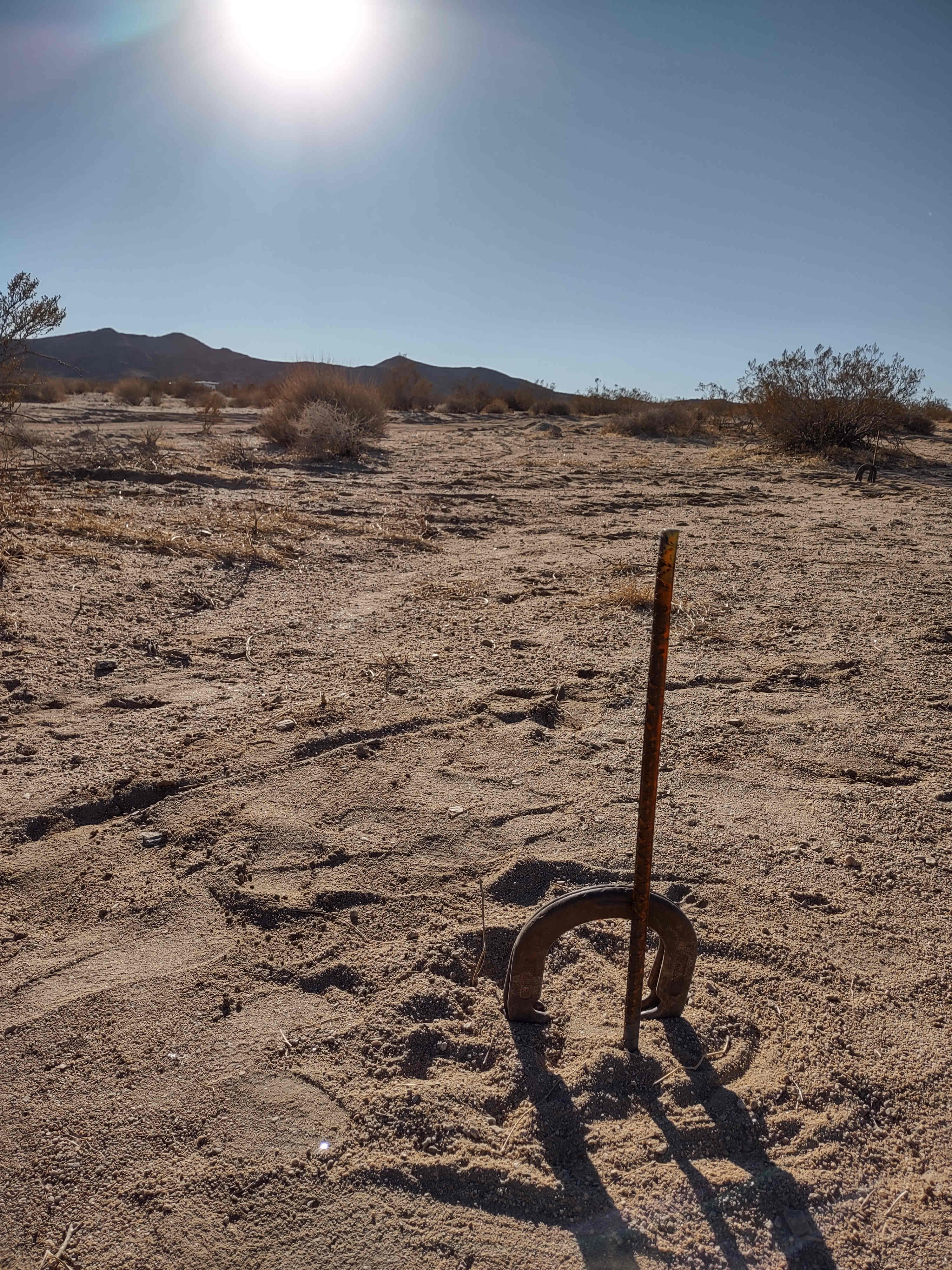 Horseshoes