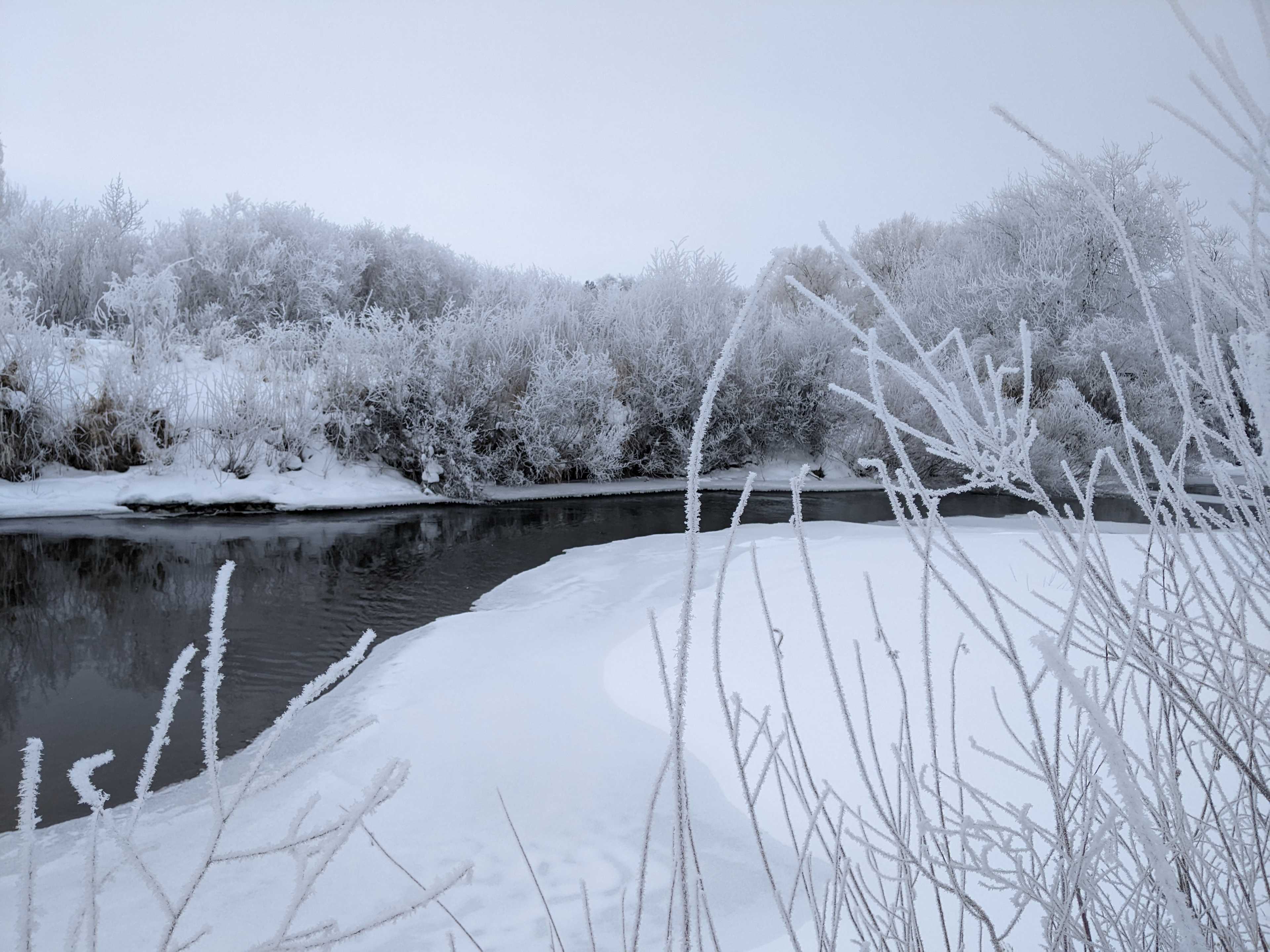 Winter Wonderland
