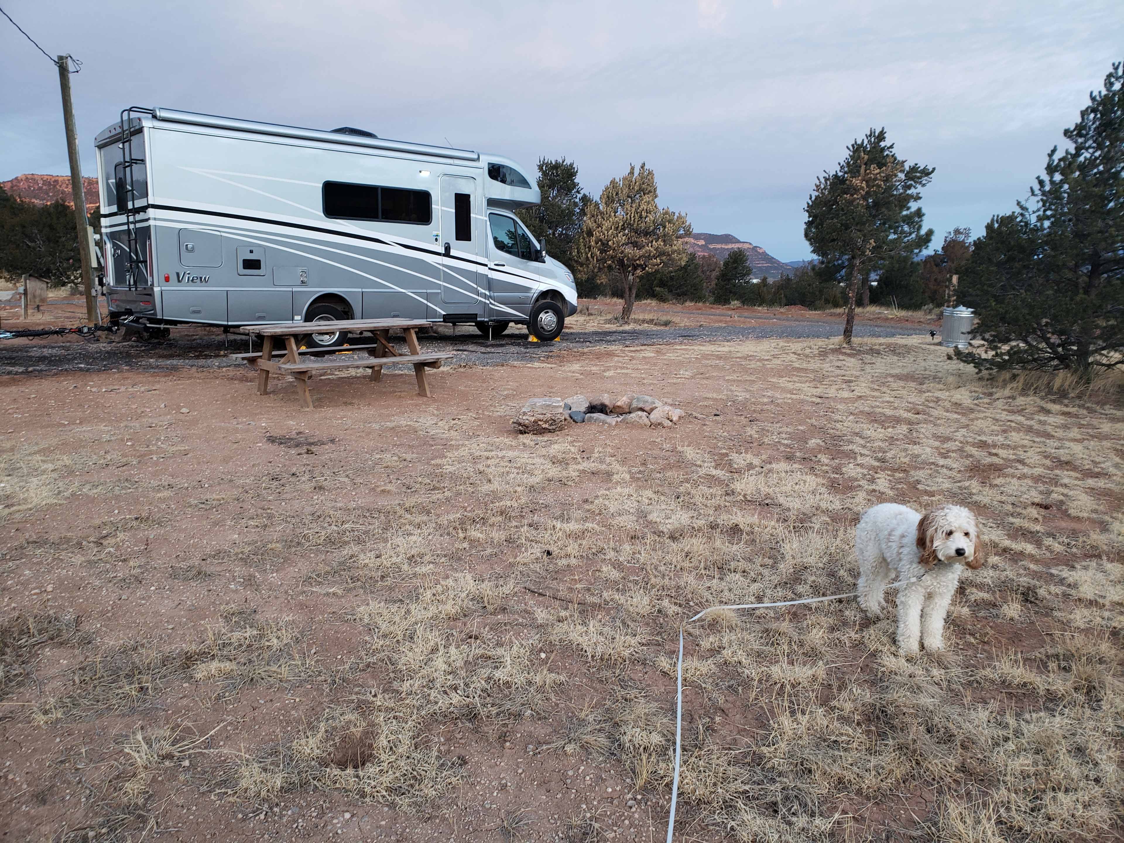 front of the camping spot