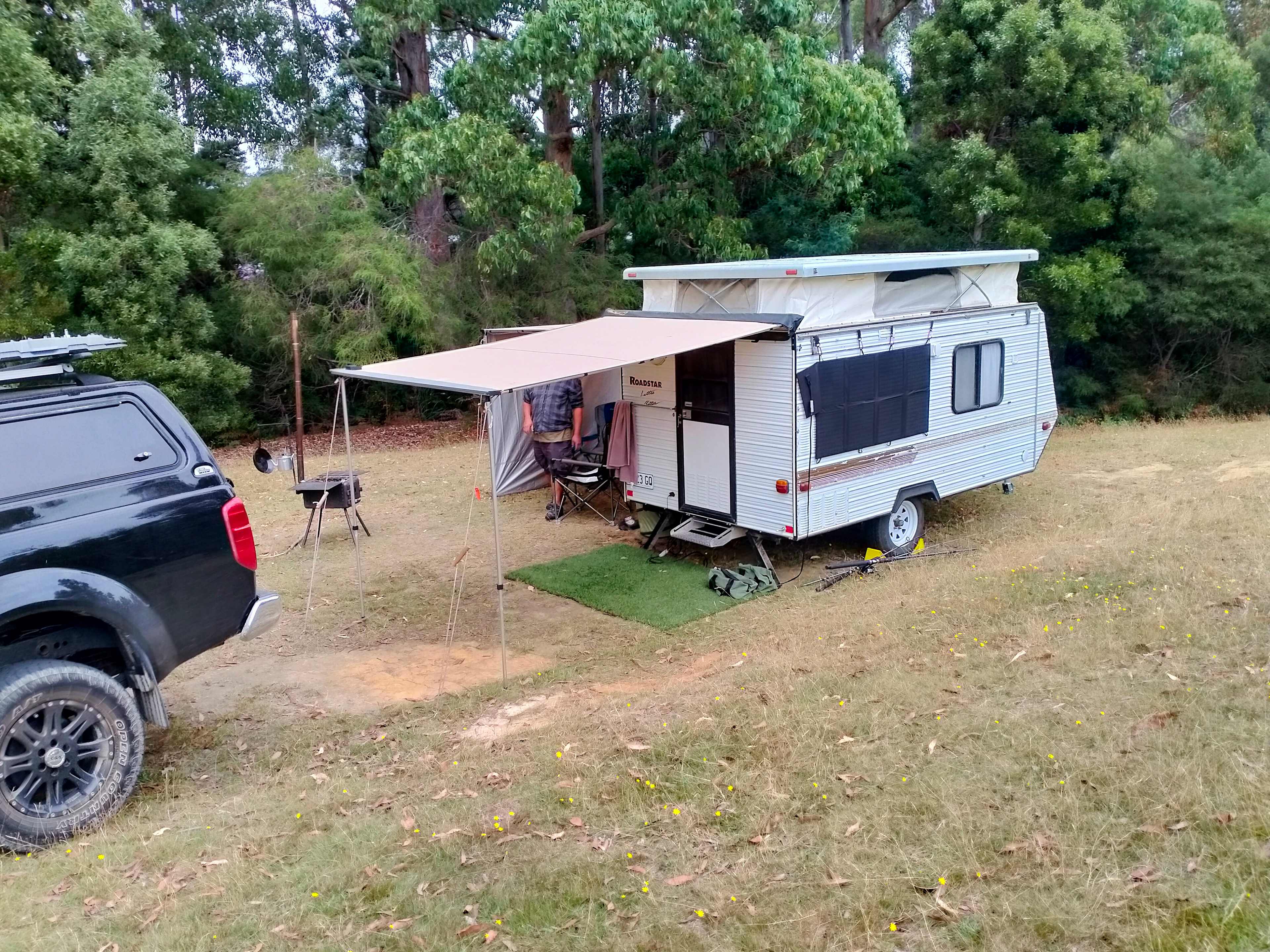 Picture of the site