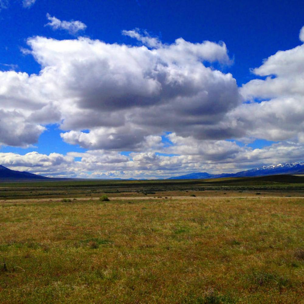 Dirt Ranch
