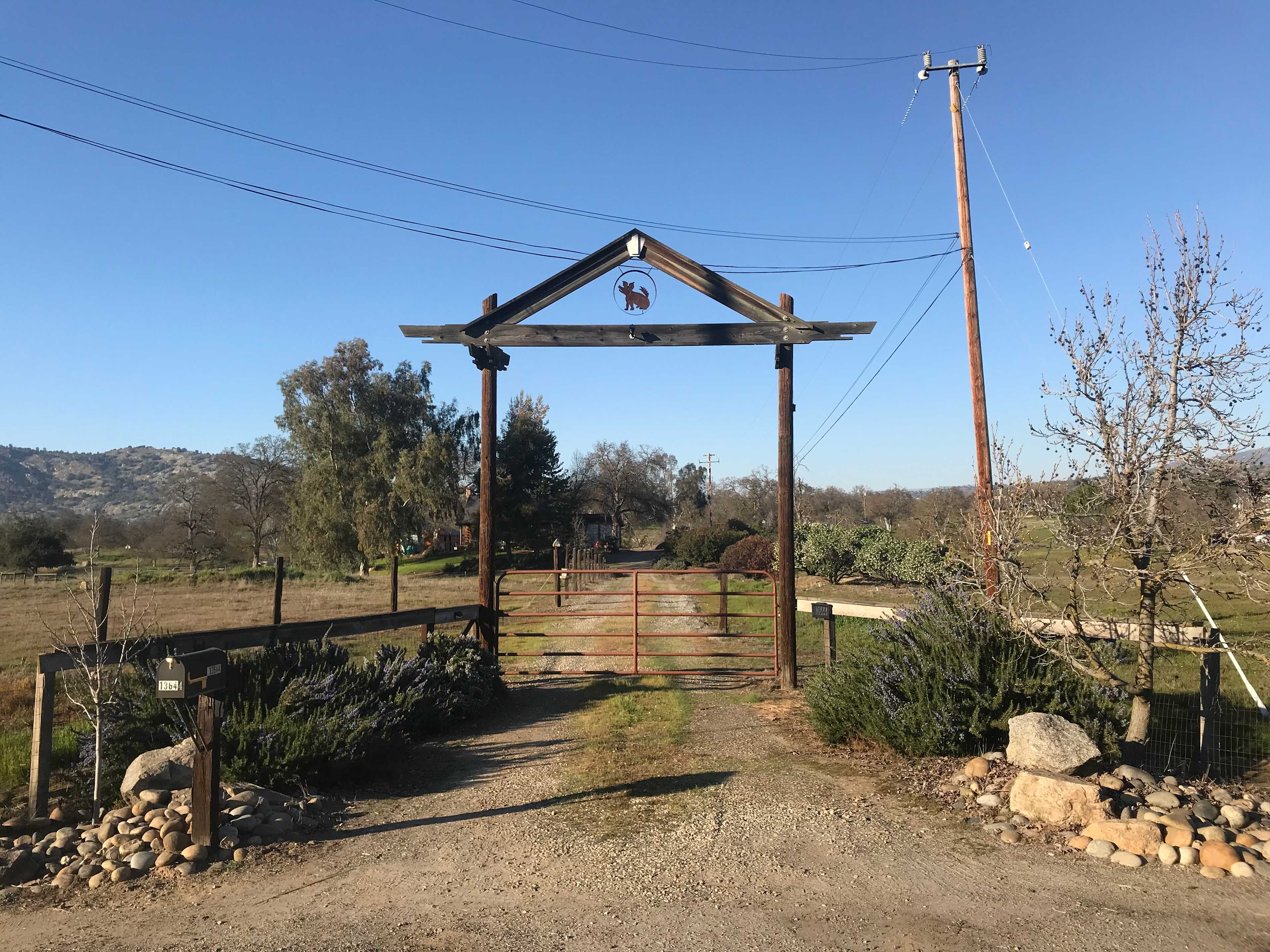 Picture of the site