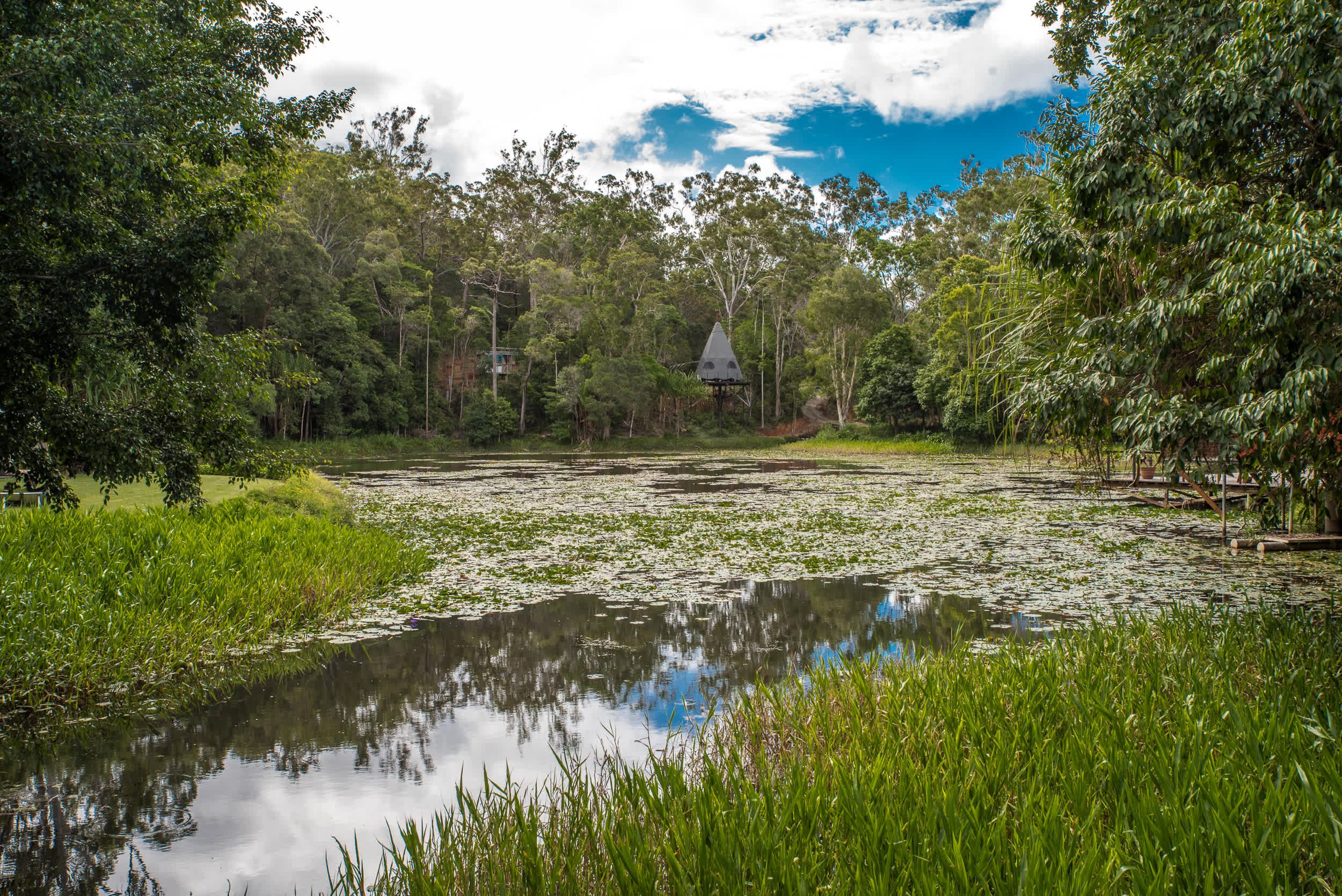 The Billabong Kuranda