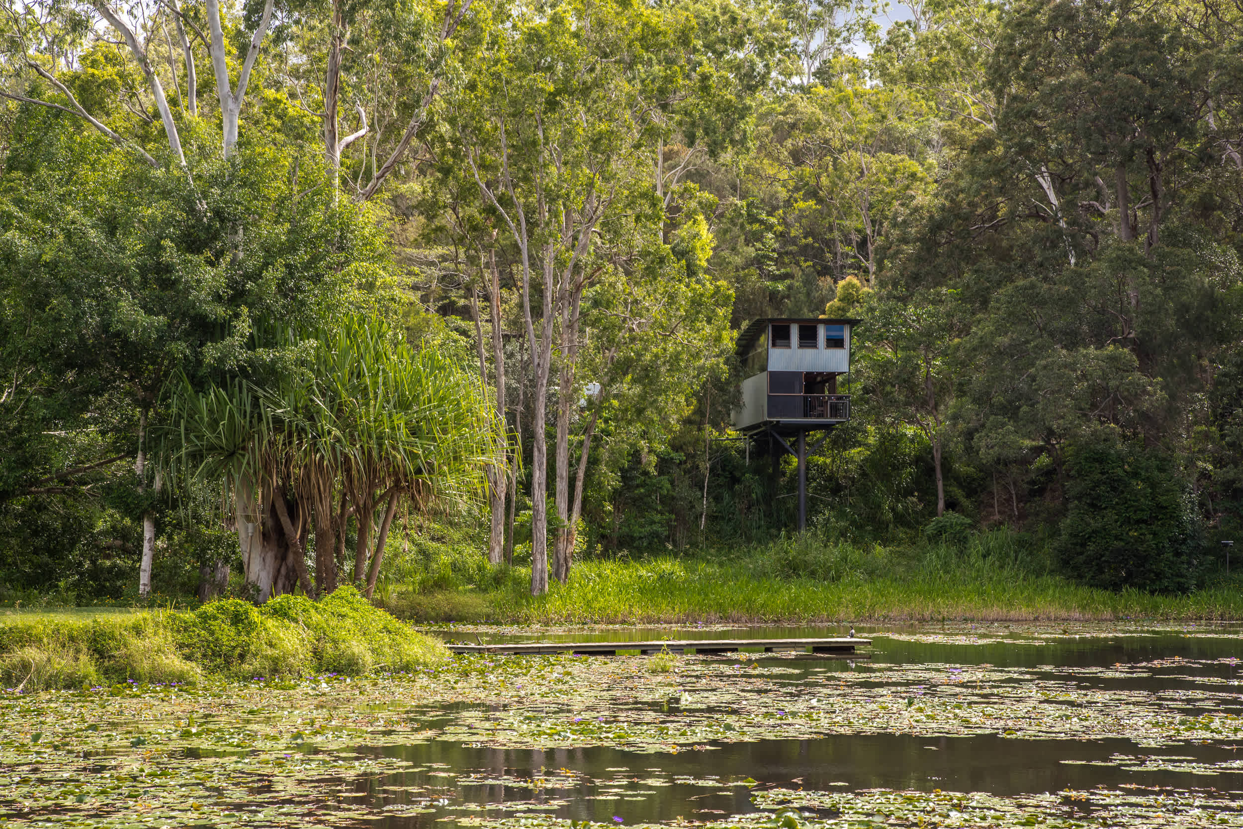 The Billabong Kuranda