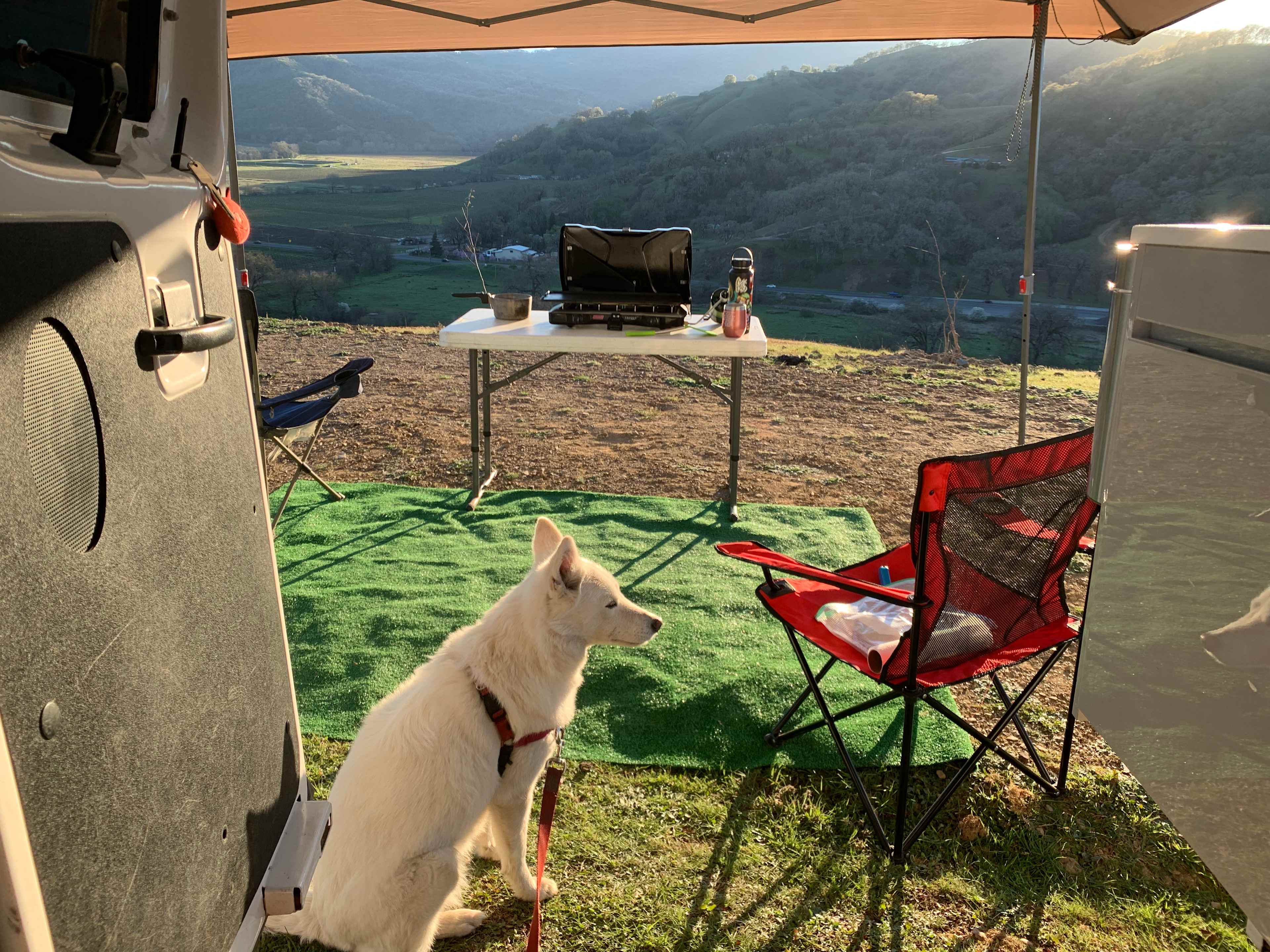 Nelson Family Vineyards