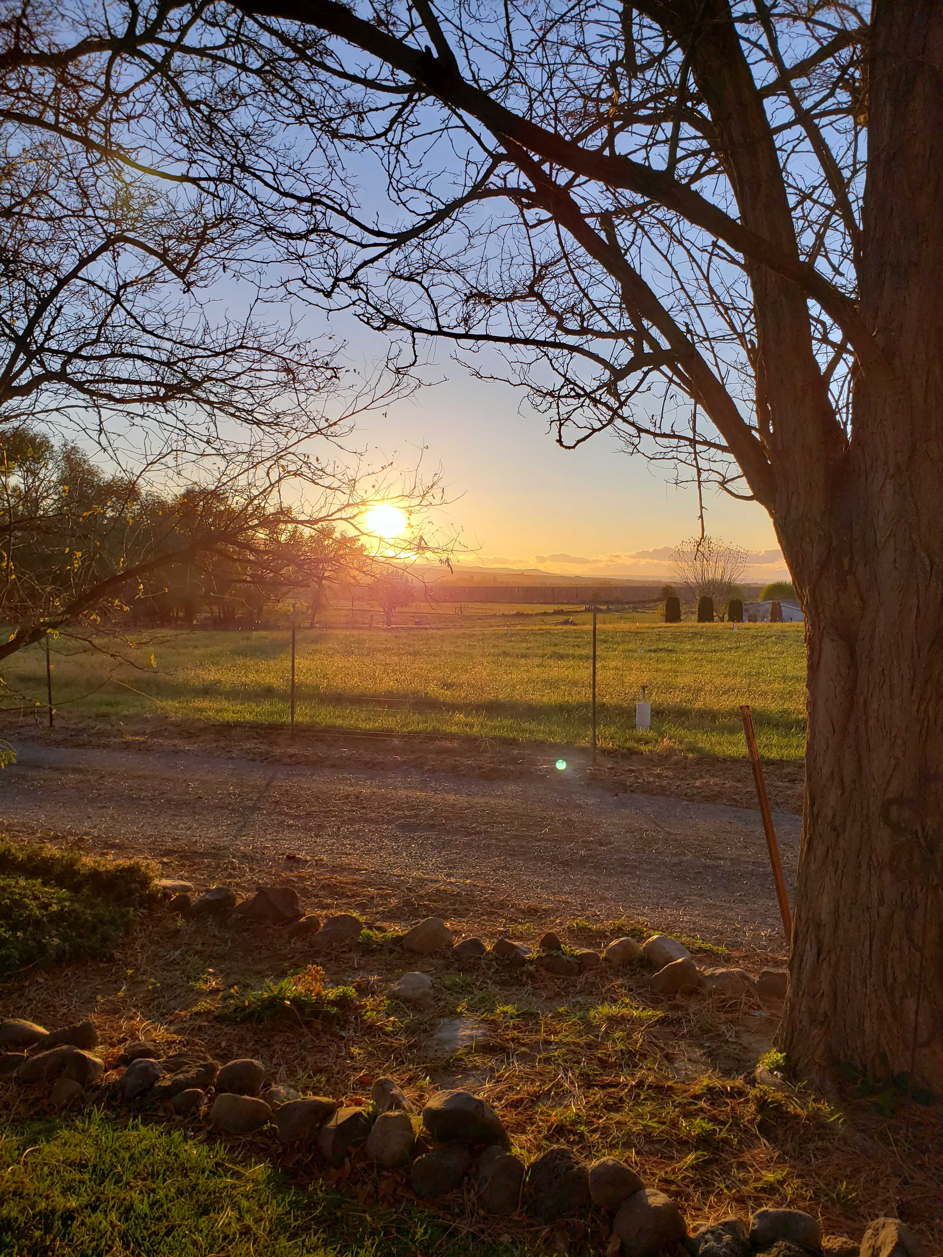 Camp in Wine Country