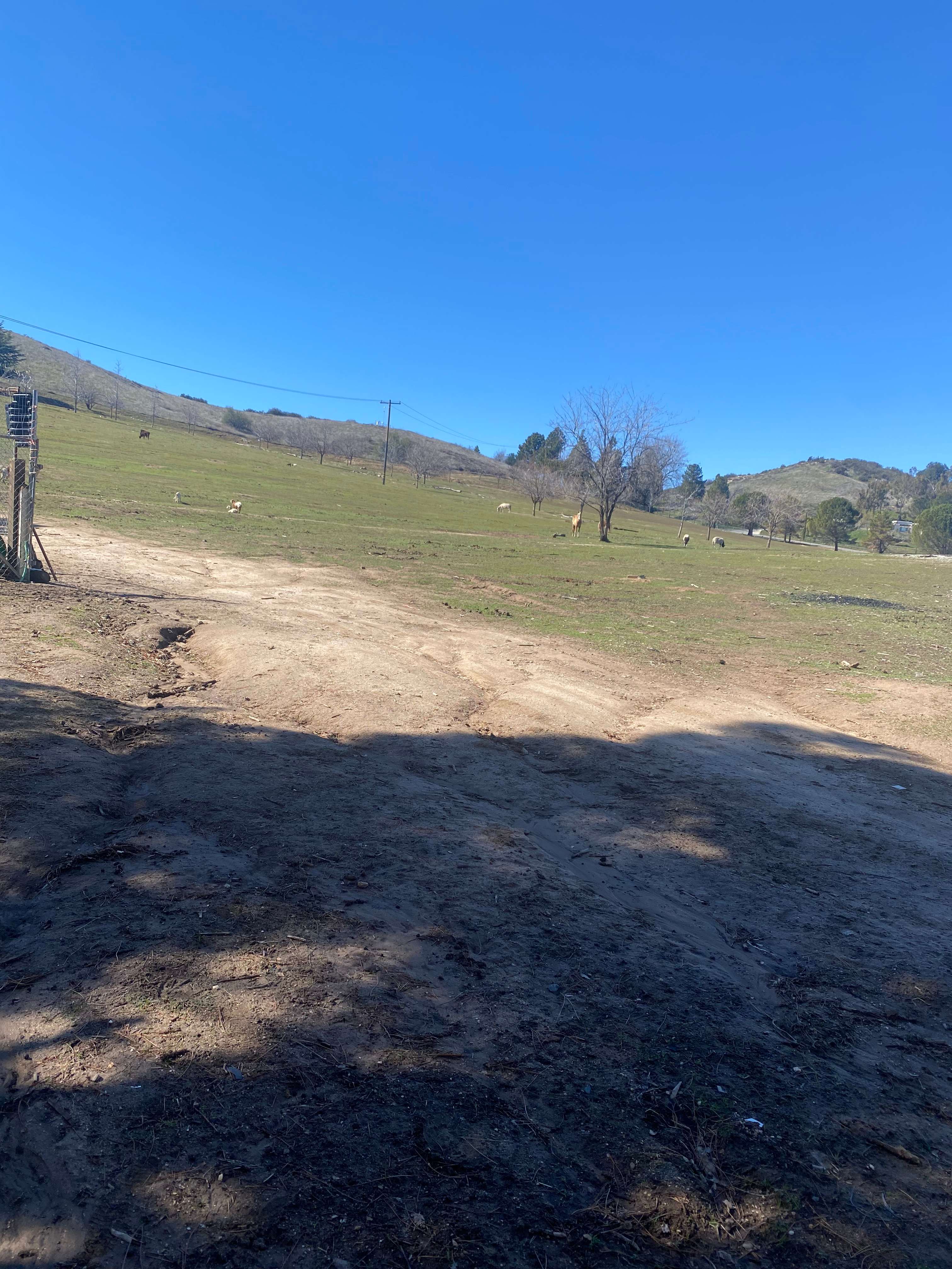 Mountain View Sanctuary & Retreat