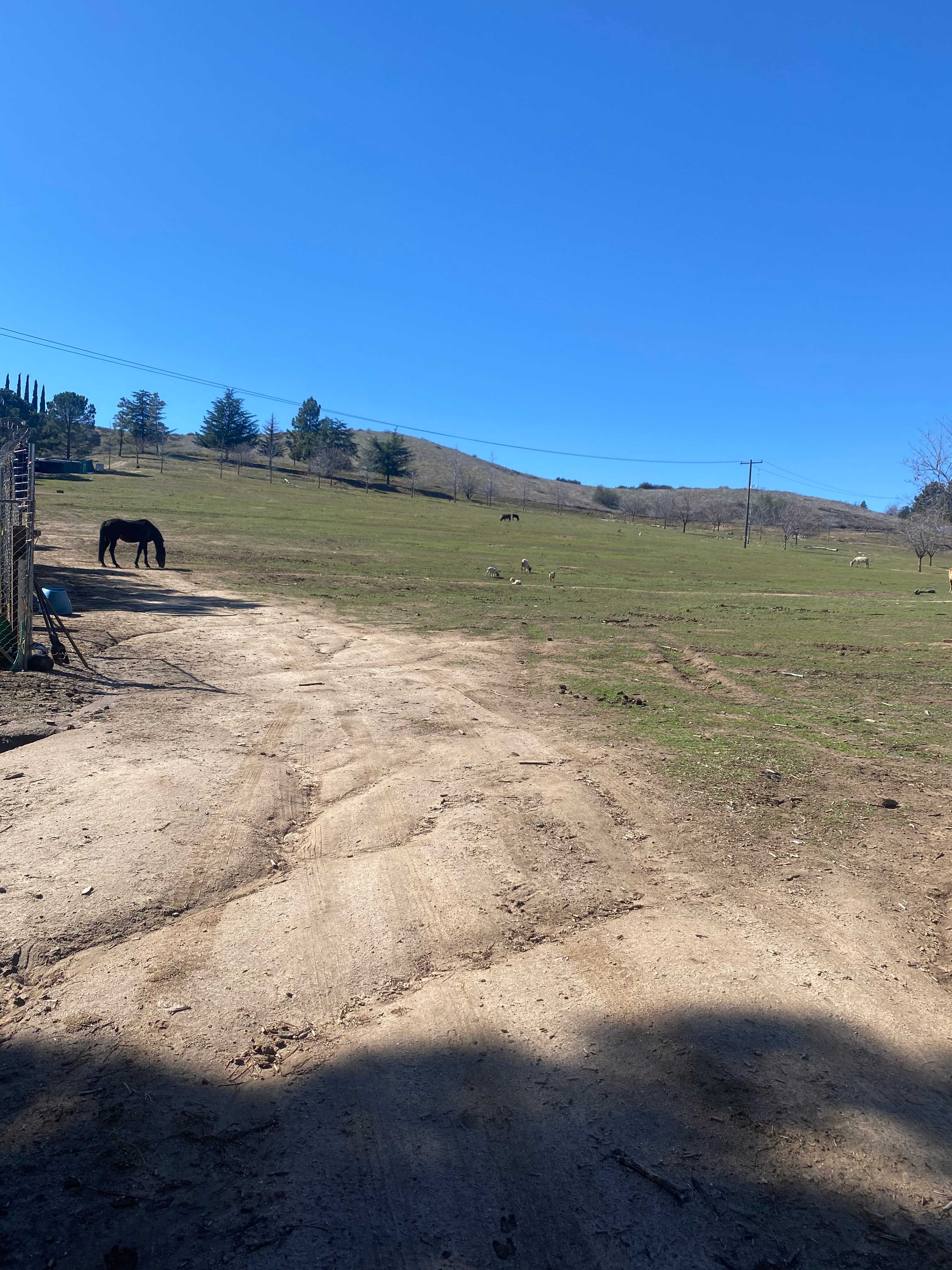 Mountain View Sanctuary & Retreat