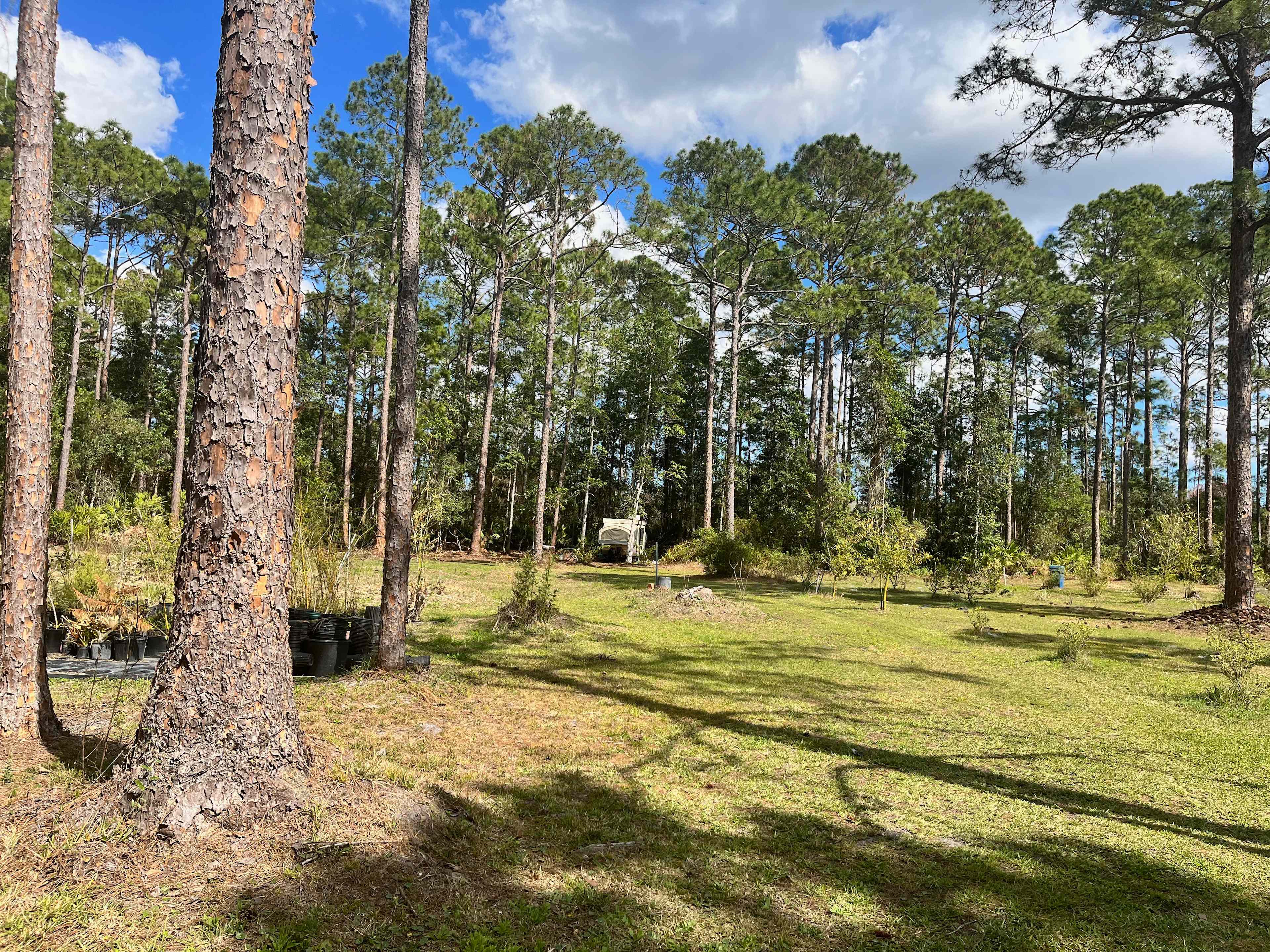 Site #2
