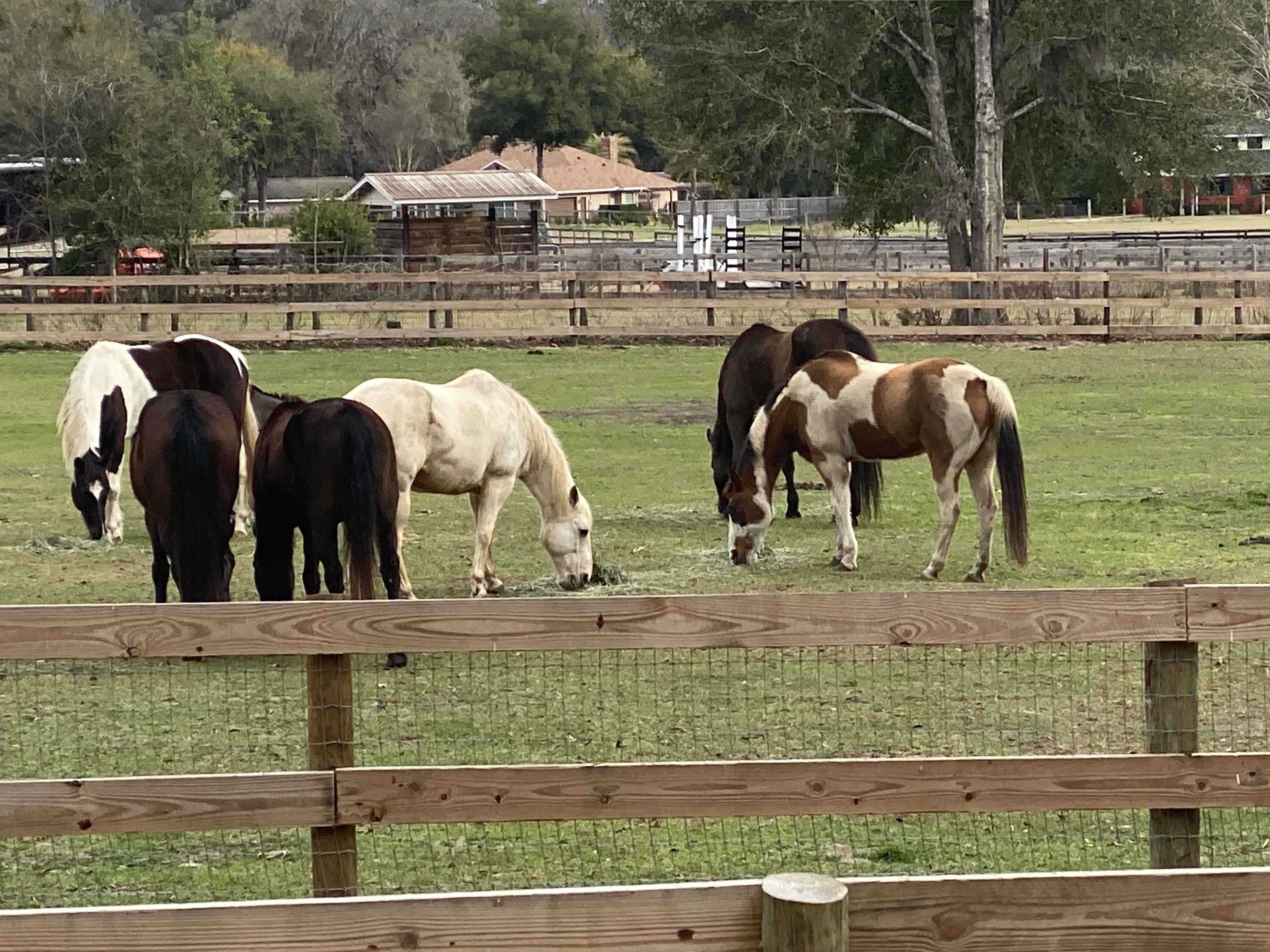 Tudor Farm Residents