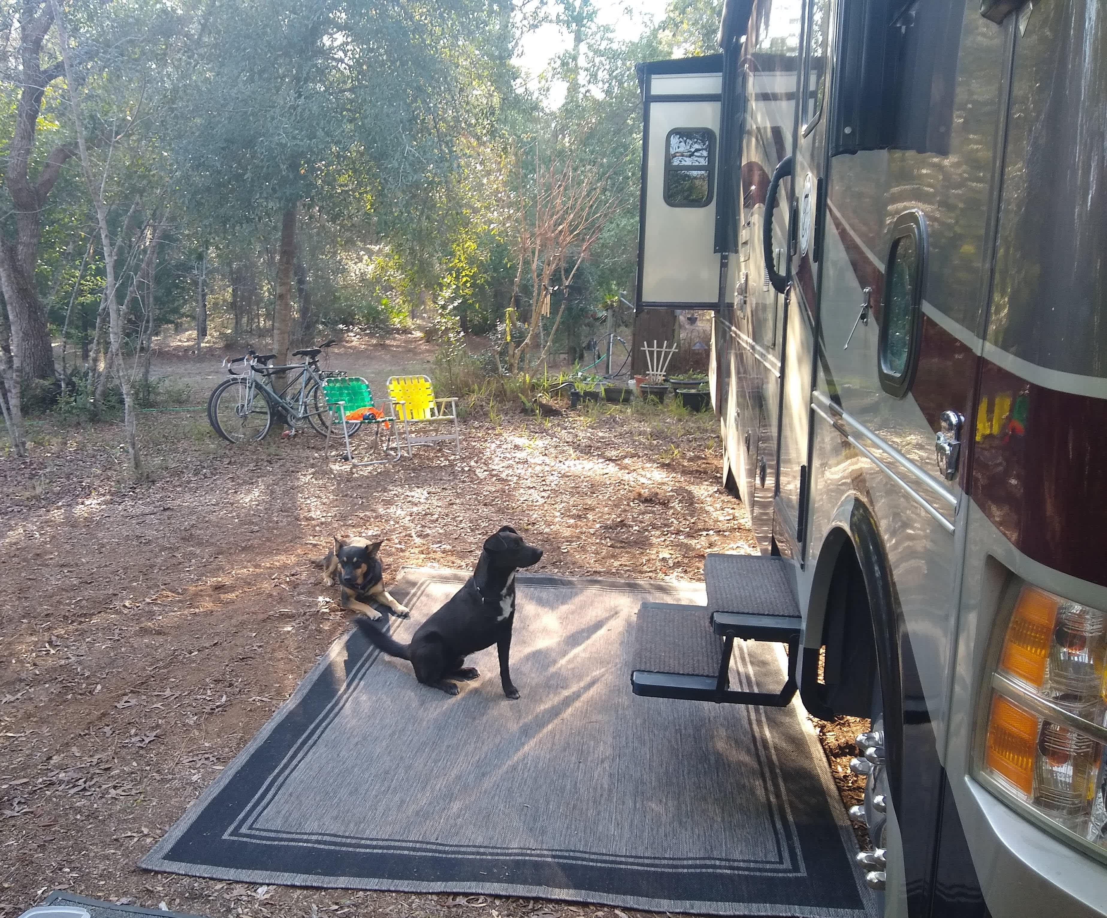 Live Oak RV site