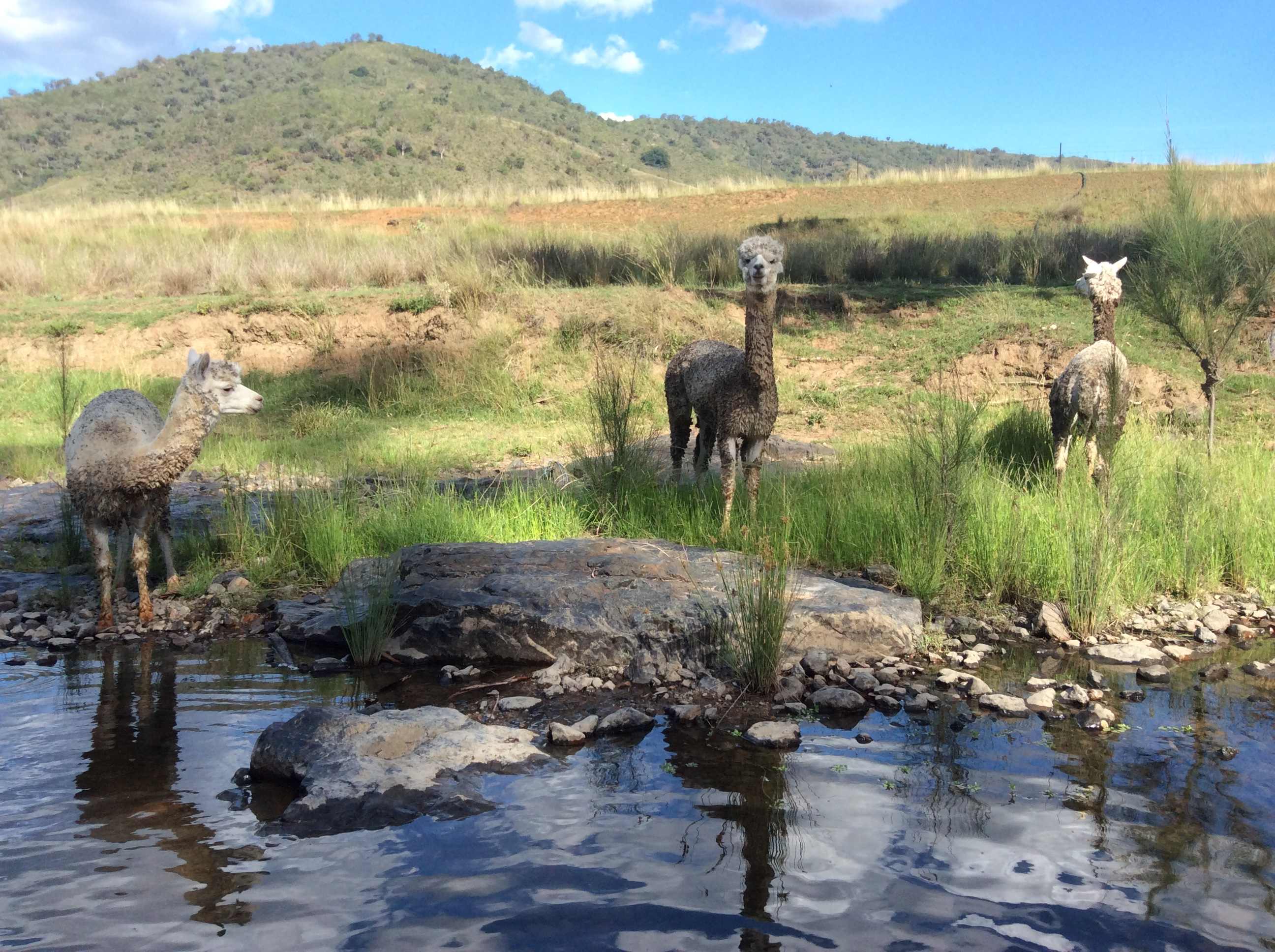 Namoi Valley Escape