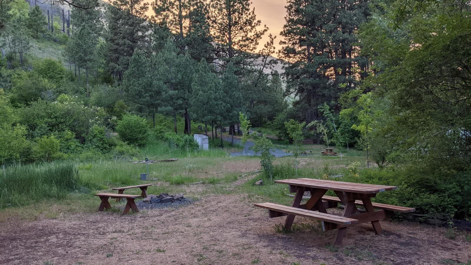 Picture of the site