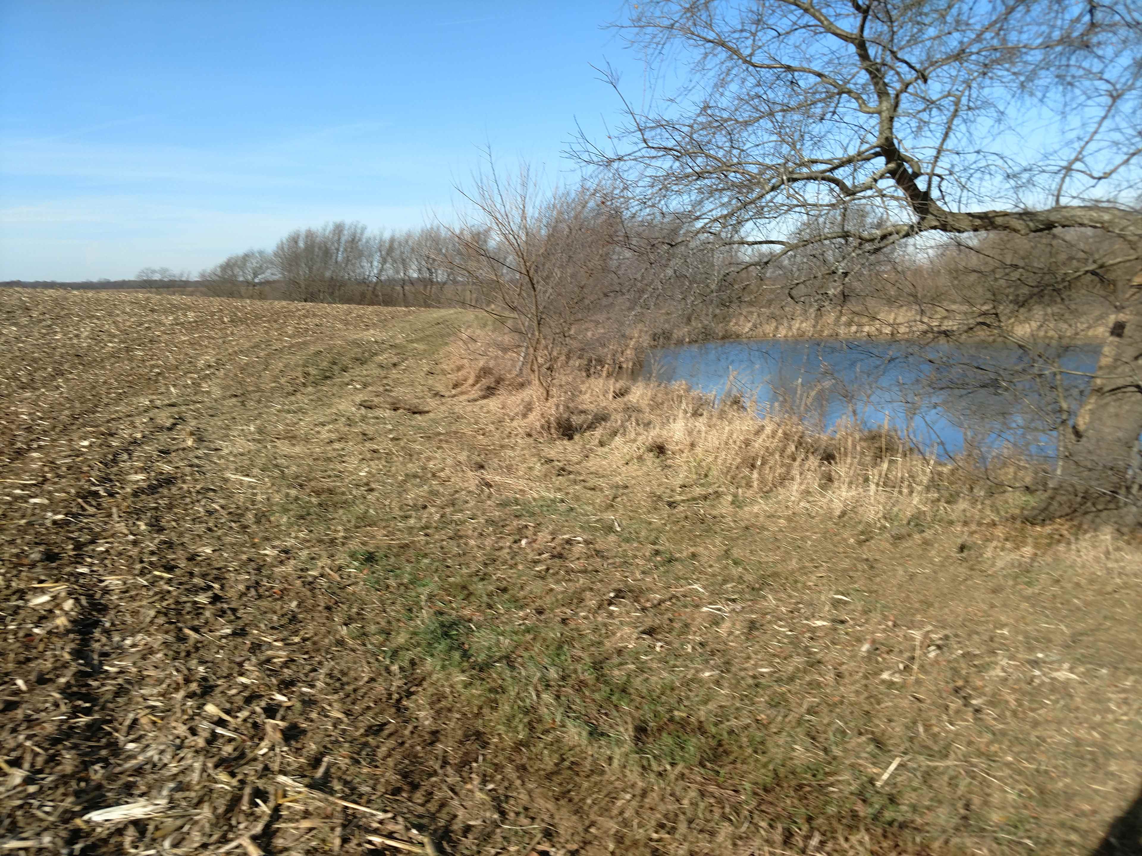 Frakers Grove Farm