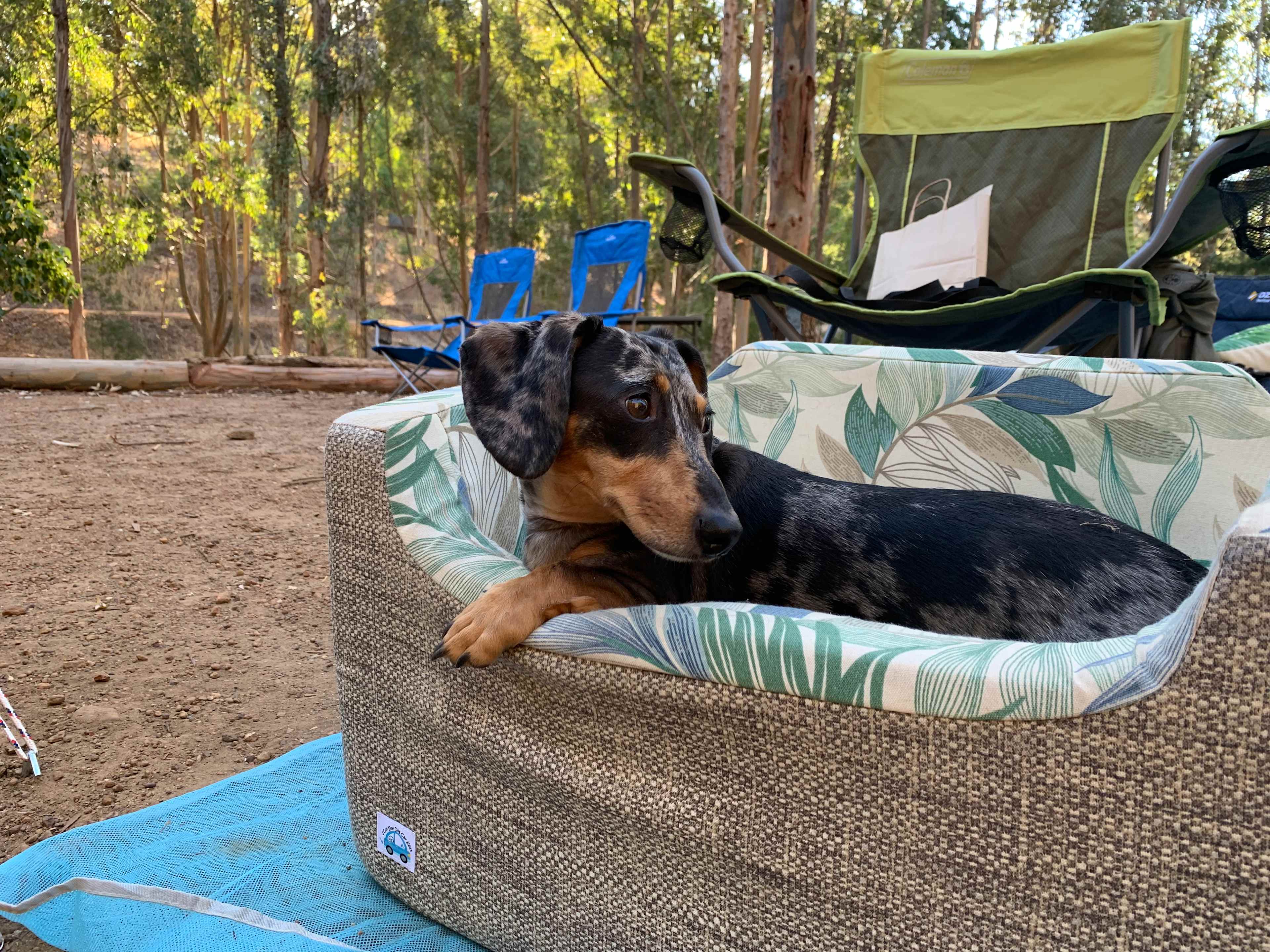 Lewana Campsites