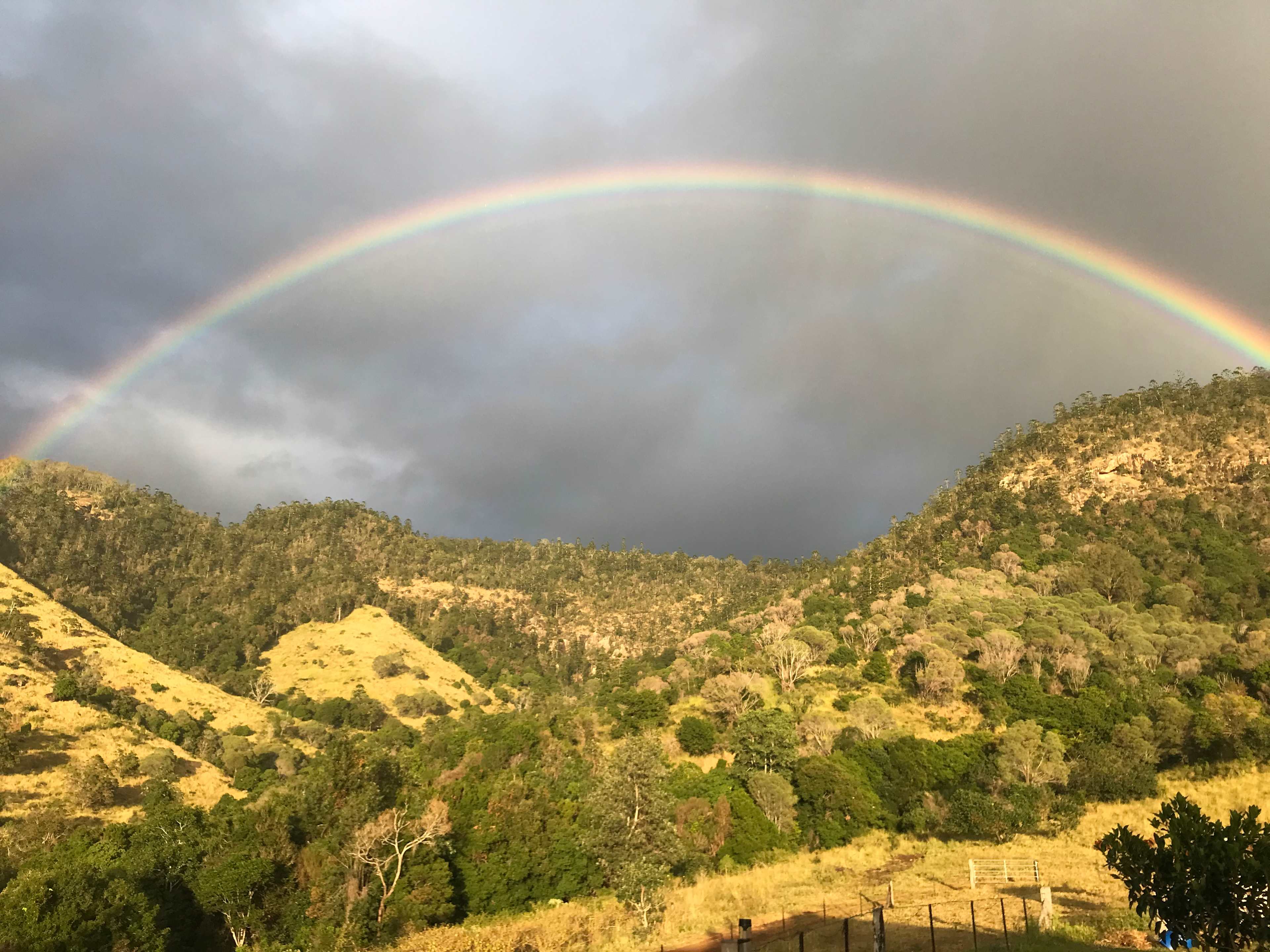 Rainbow, the symbol of hope which is why our property is called Hopevale.
