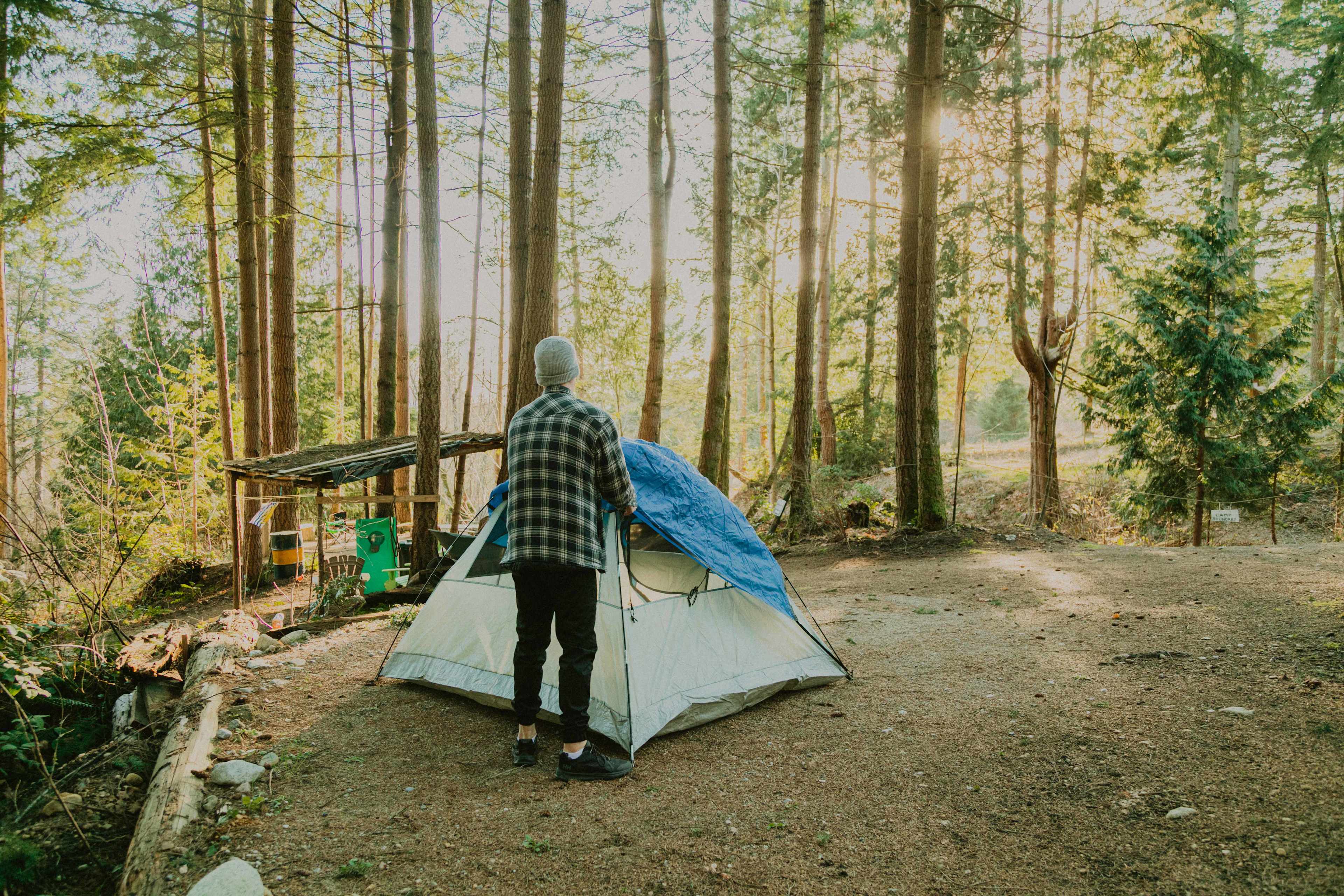 The sunlight shining through the trees was honestly nothing short of magical. 