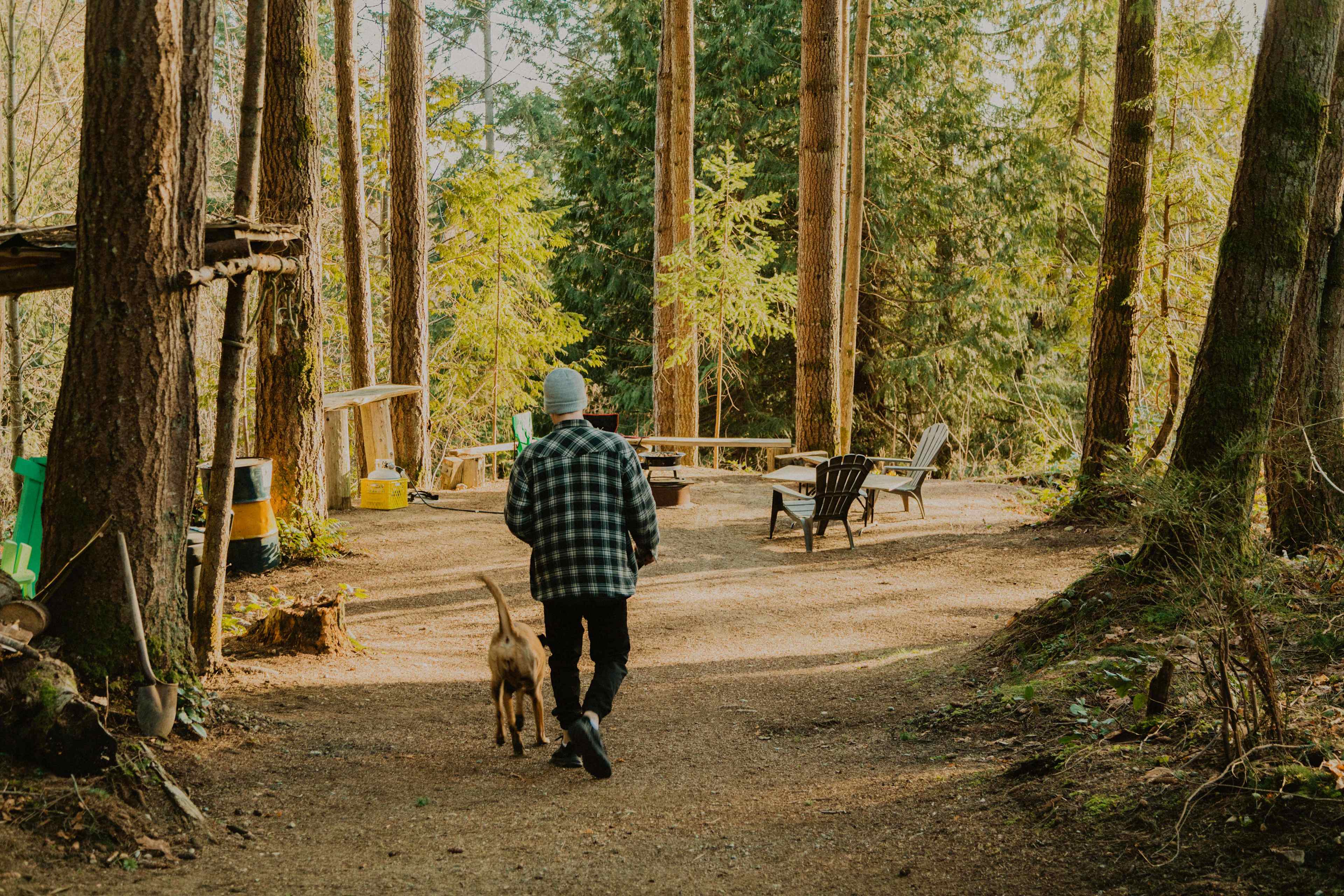 Picture of the site