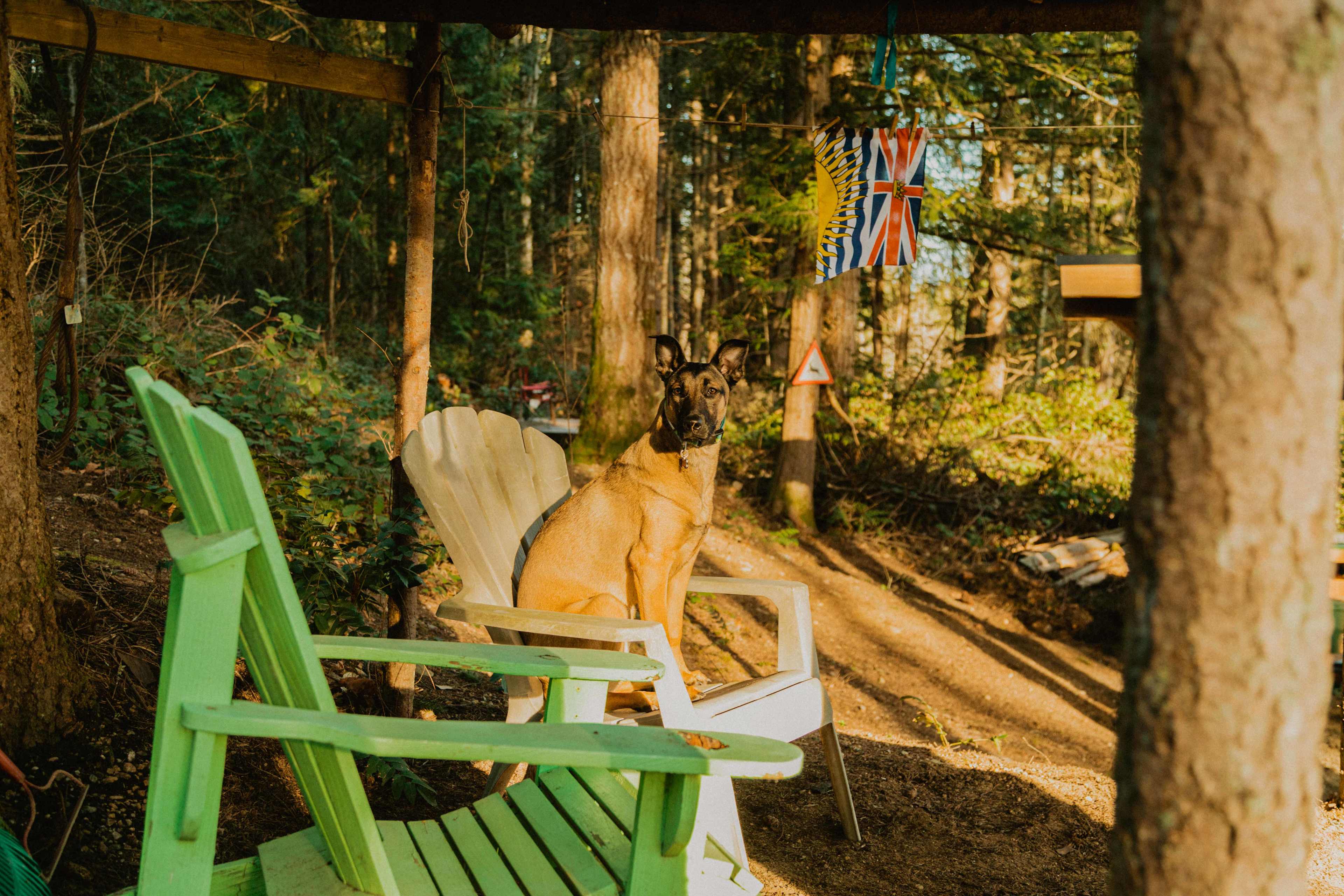 Our doggo fully enjoying one of the lounge areas. They already had so many chairs available, we didn't need to pack our own haha. Next time we won't haha!