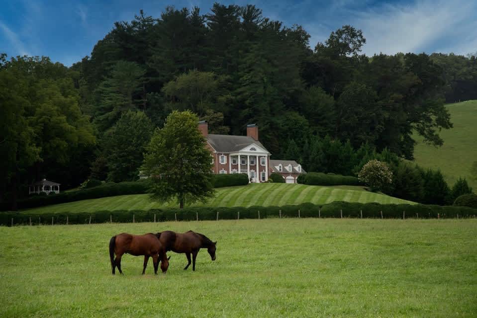Maymead property at entrance to our property 