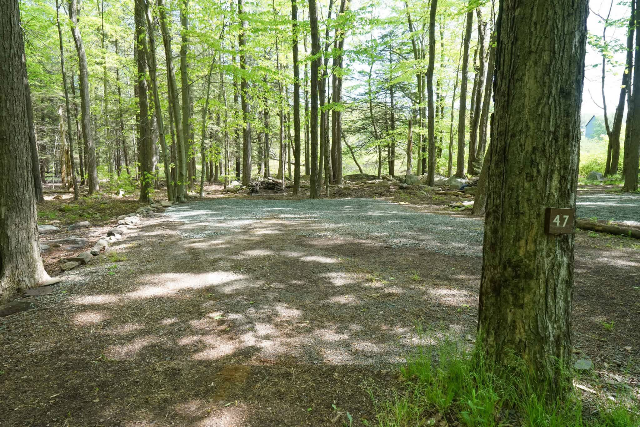 Campsite 47