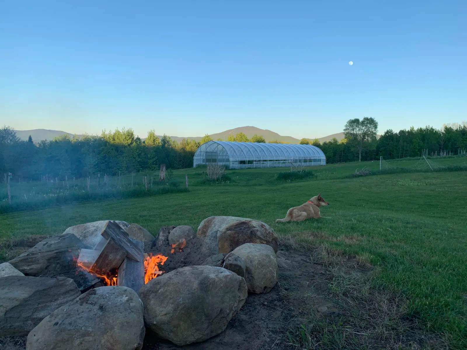 communal firepit