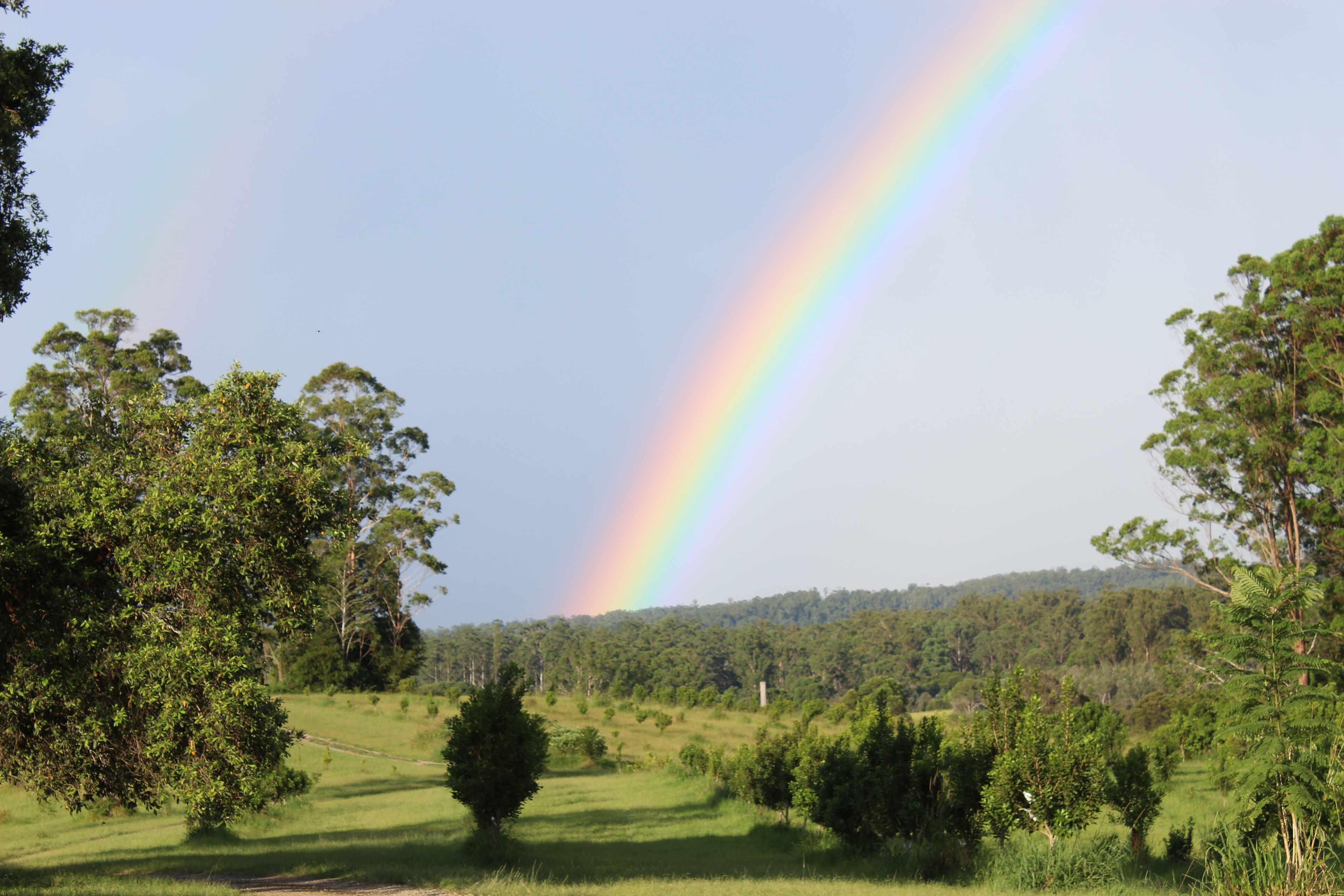 view across the farm from the front deck