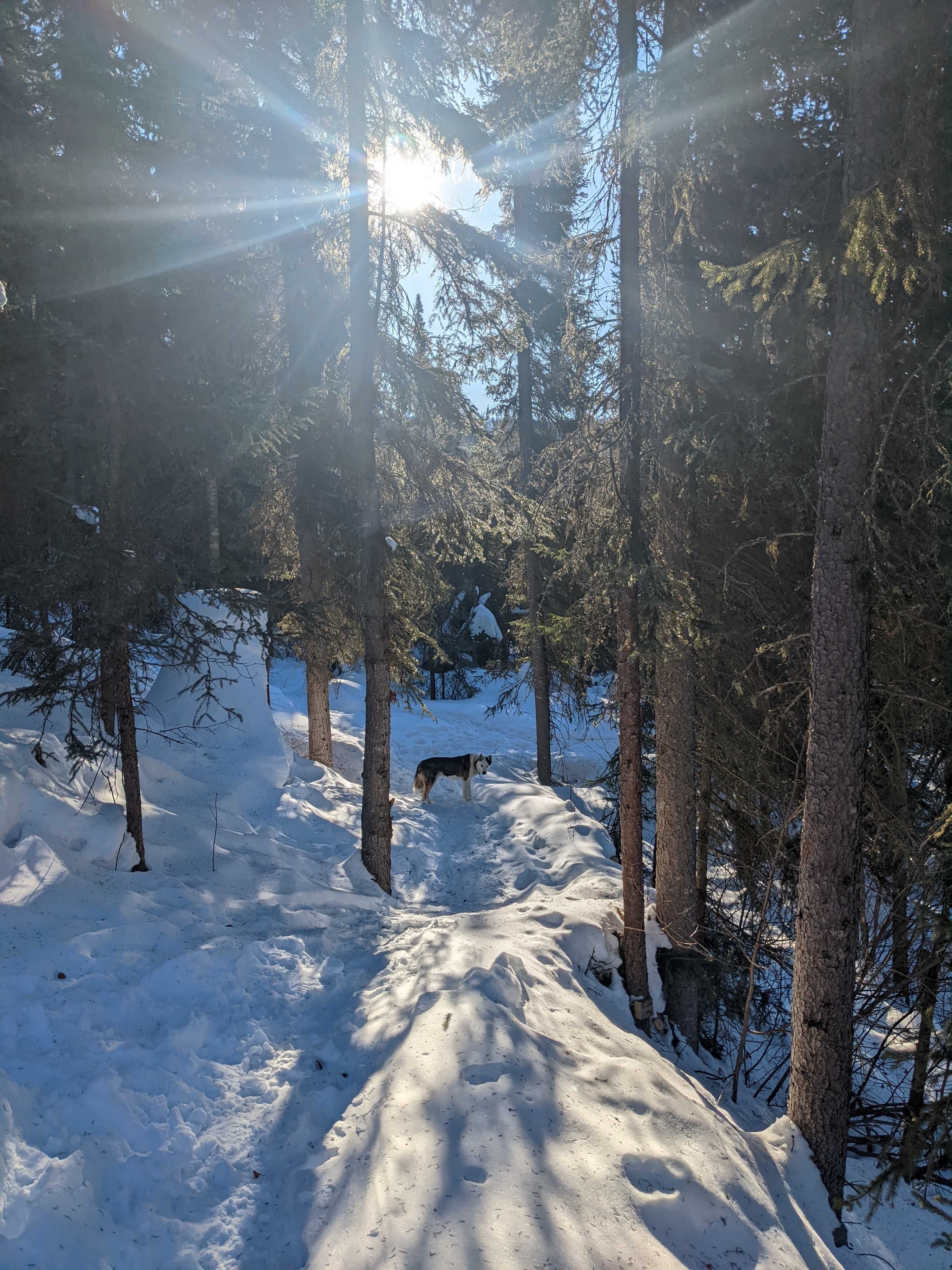 Windy Creek Wildlands