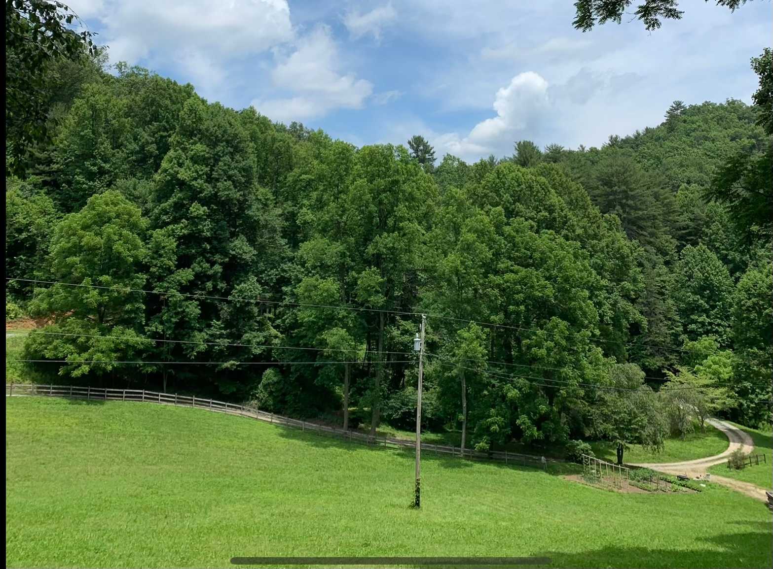 Pasture with mountain backdrop